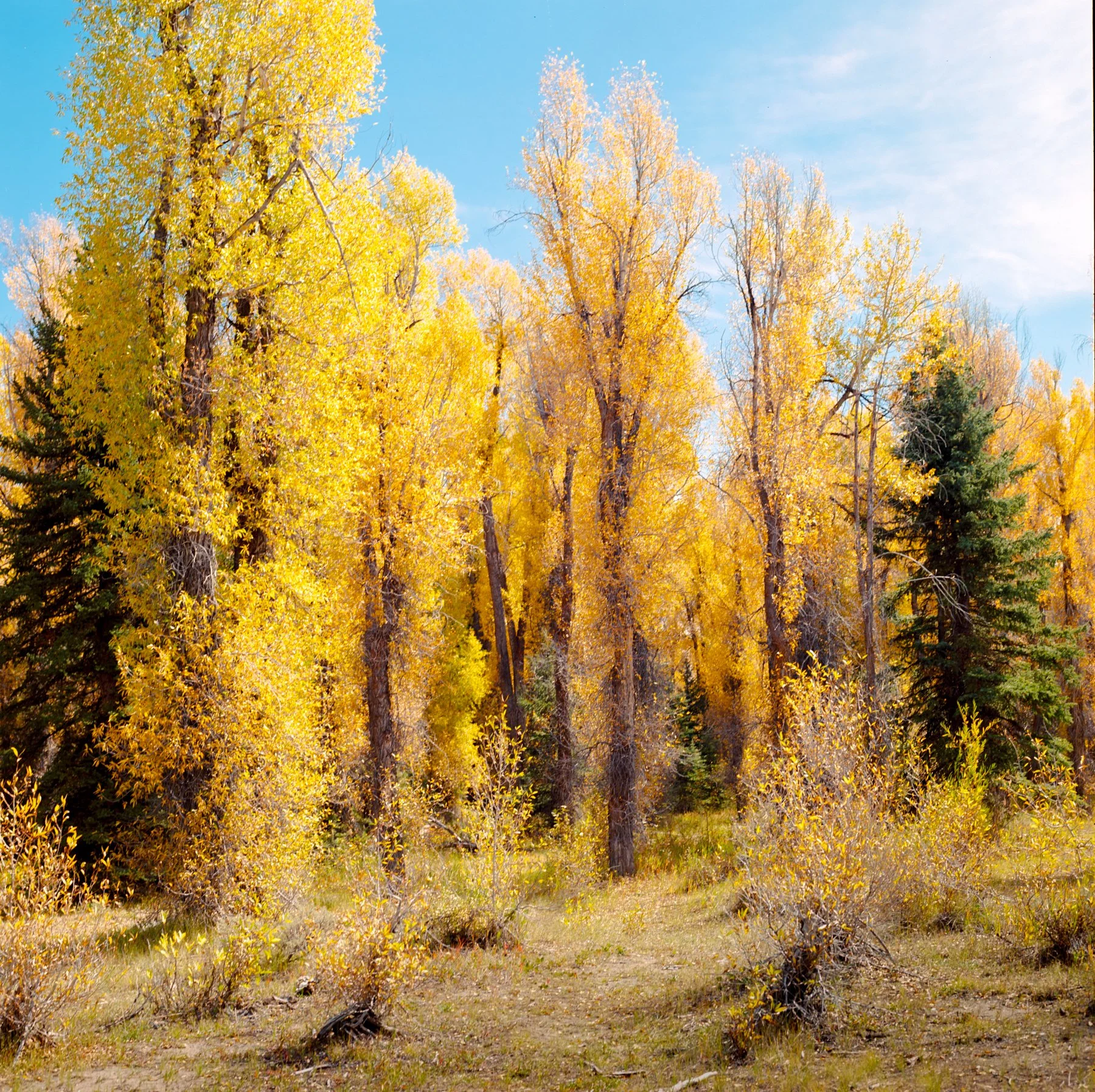 wyoming-summer-2026-195.jpg