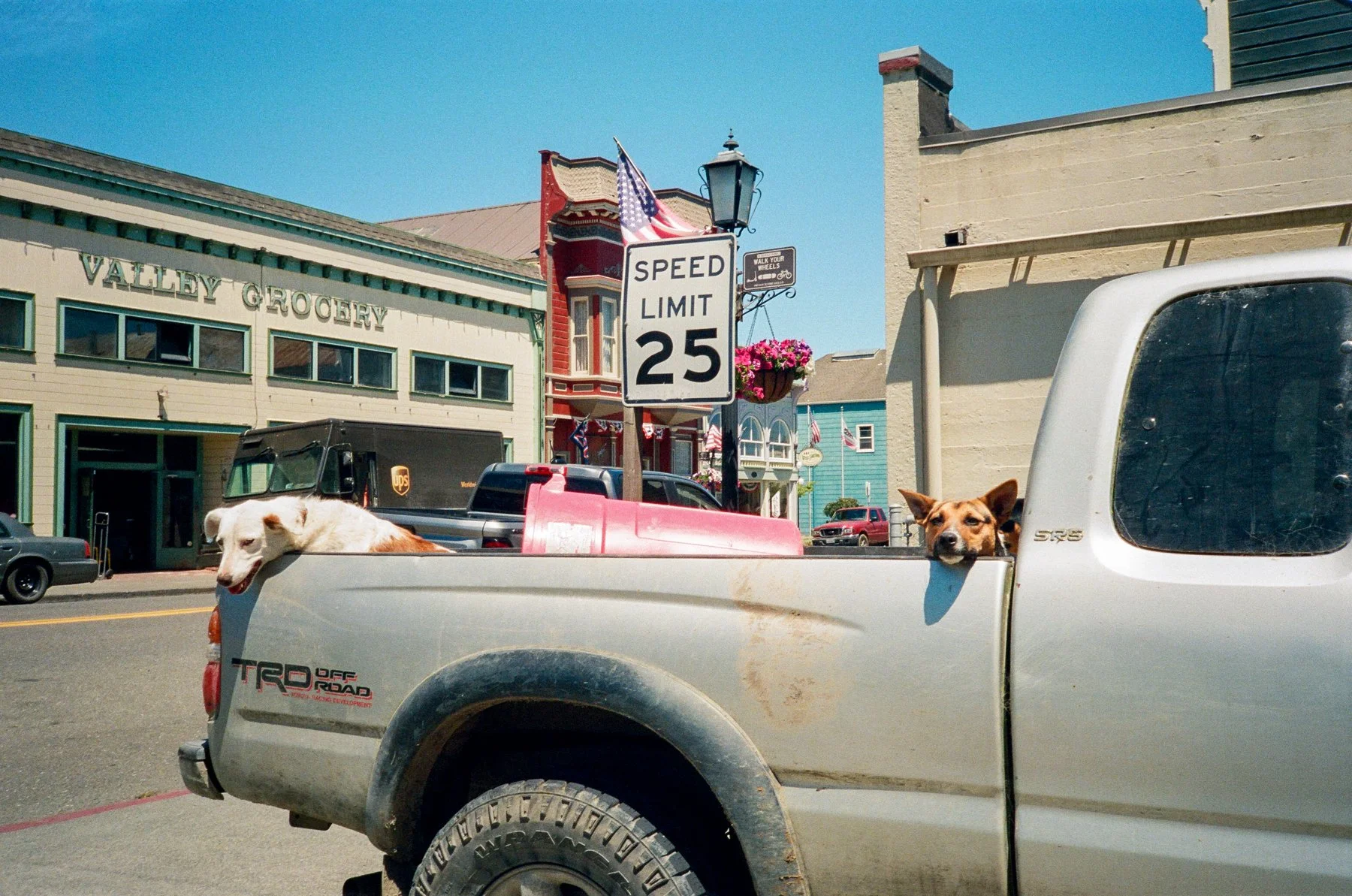 northern-ca-summer-2026-09.jpg