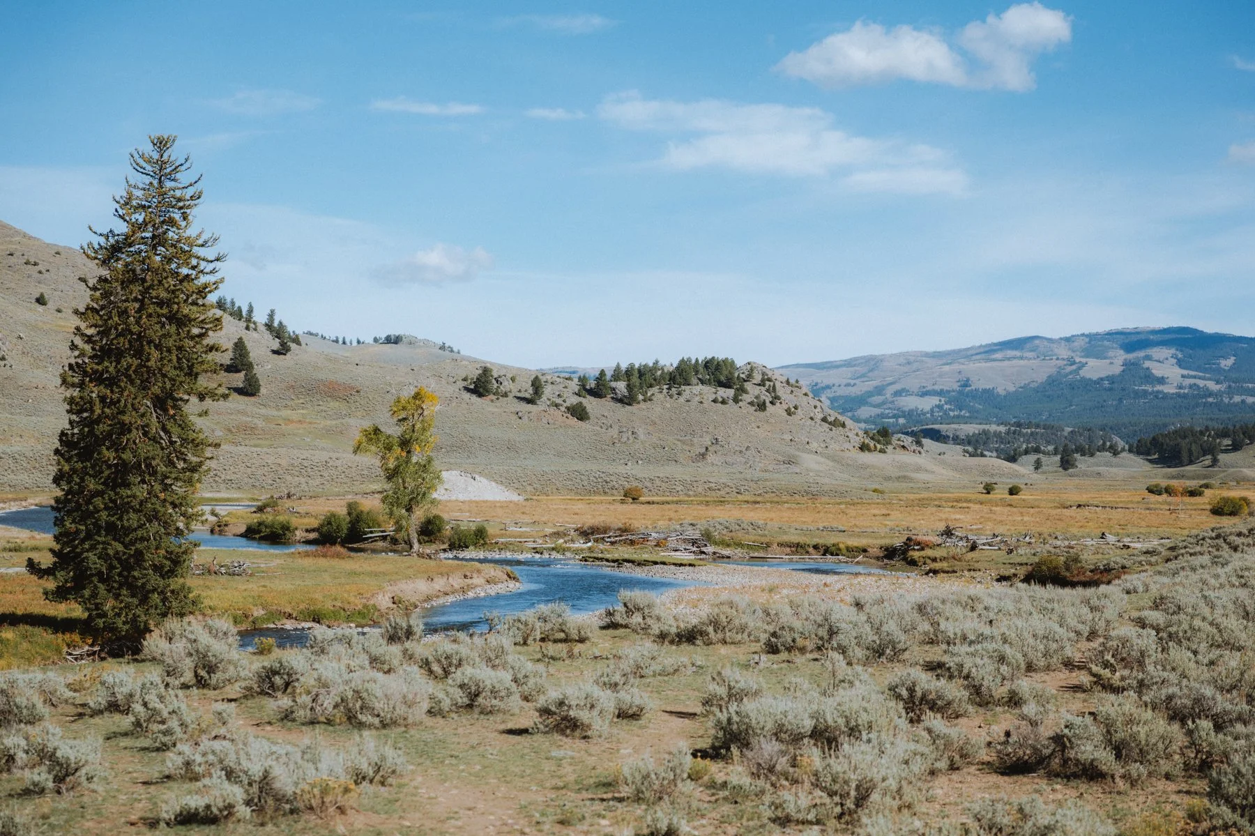 wyoming-summer-2026-107.jpg
