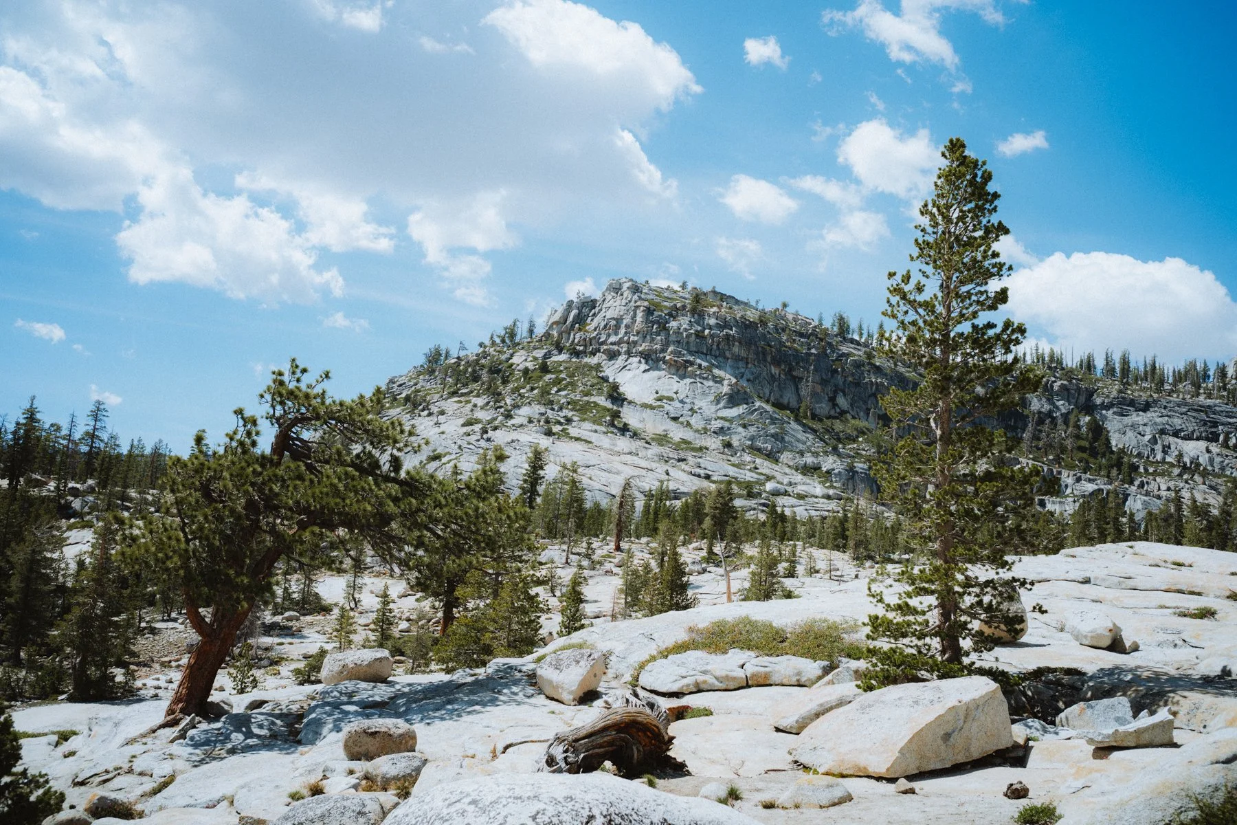 eastern-sierras-summer-2026-3.jpg