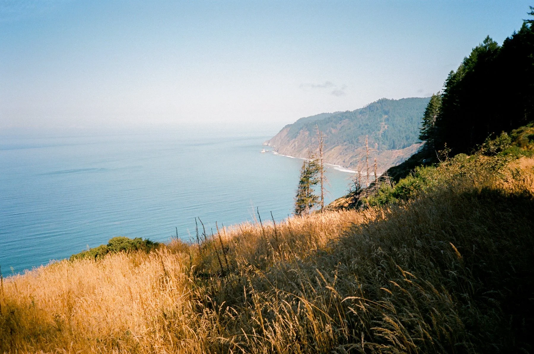 Northern California // Summer 2026