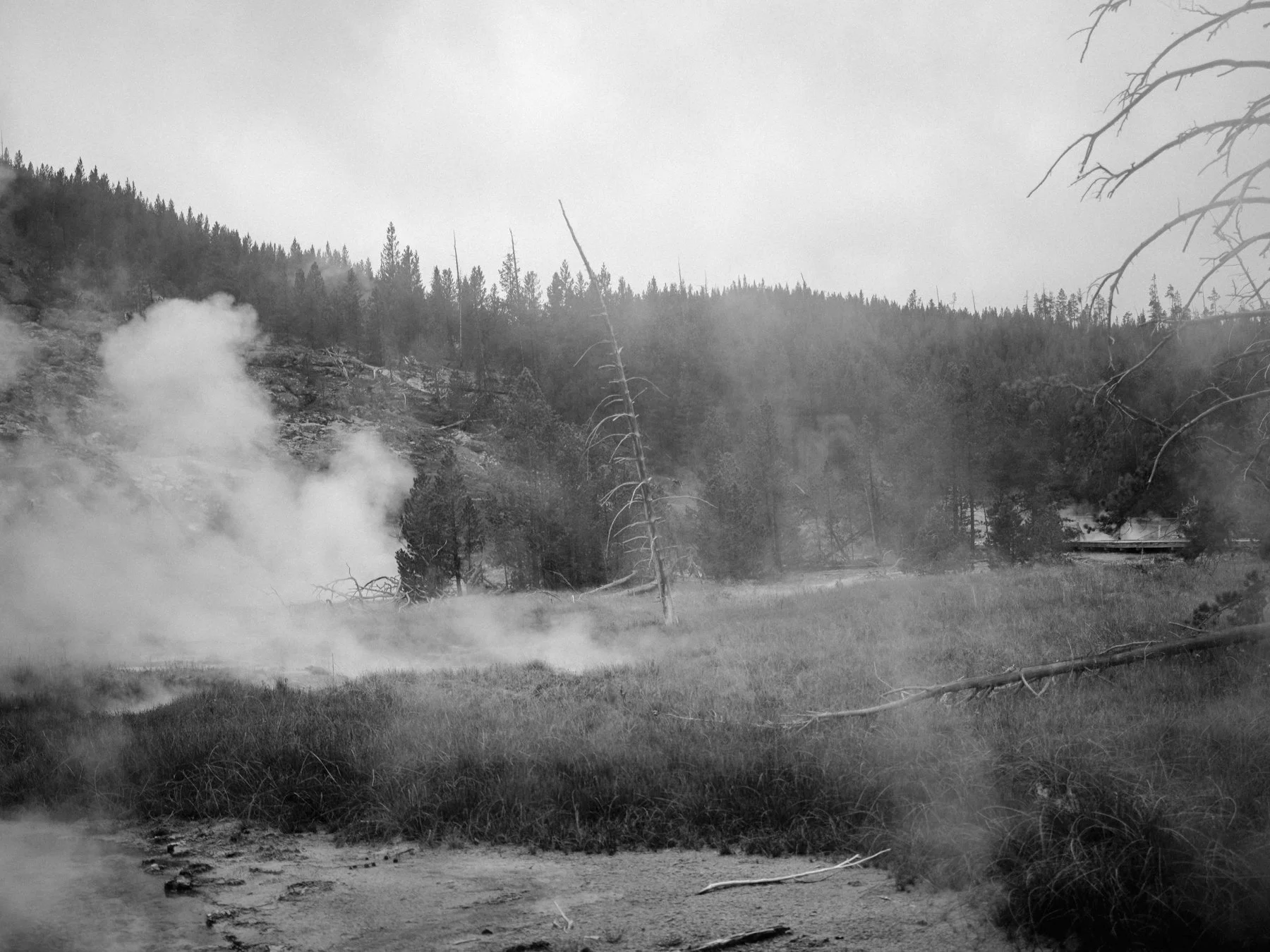 wyoming-summer-2026-168.jpg