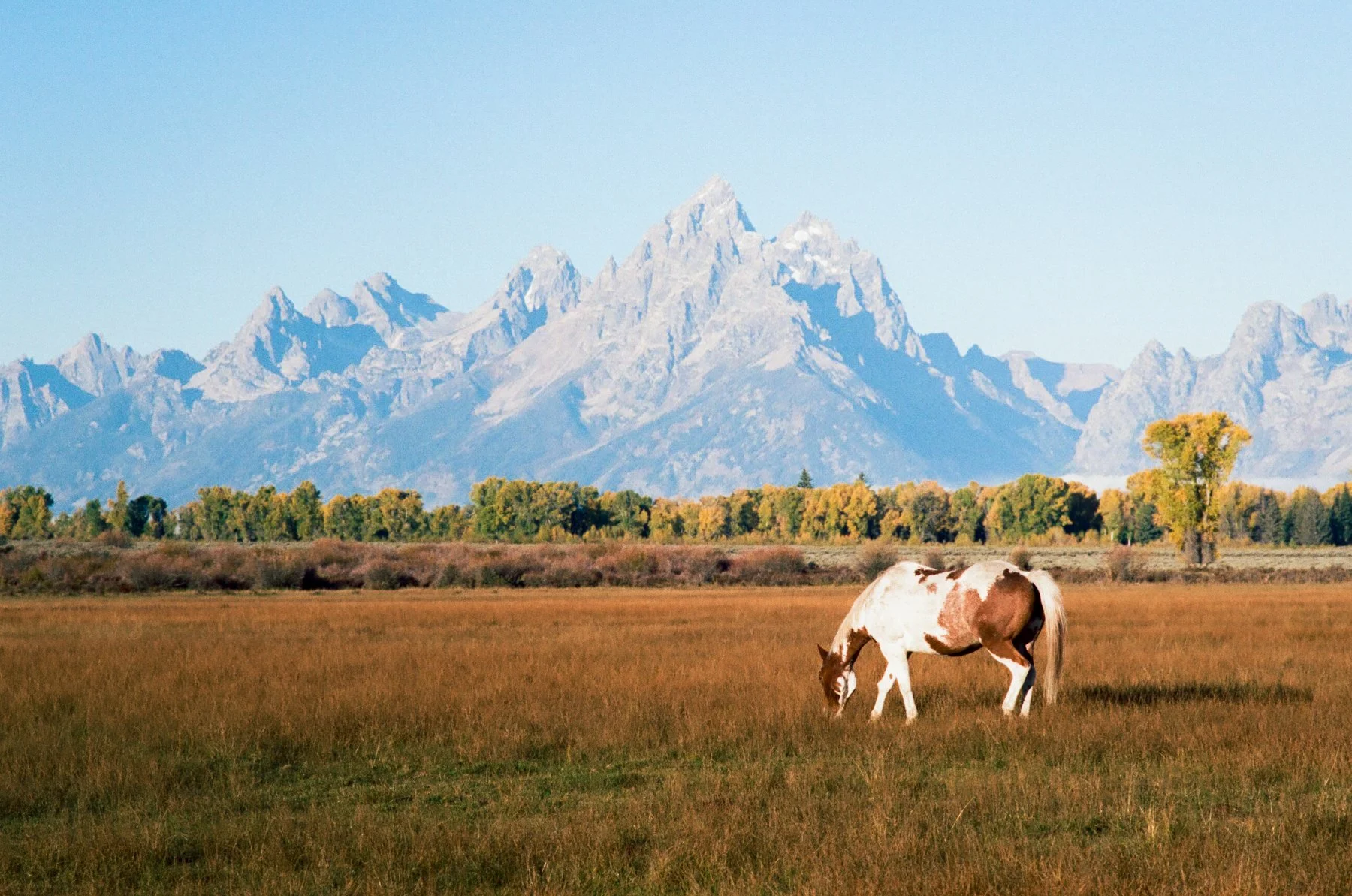 wyoming-summer-2026-074.jpg