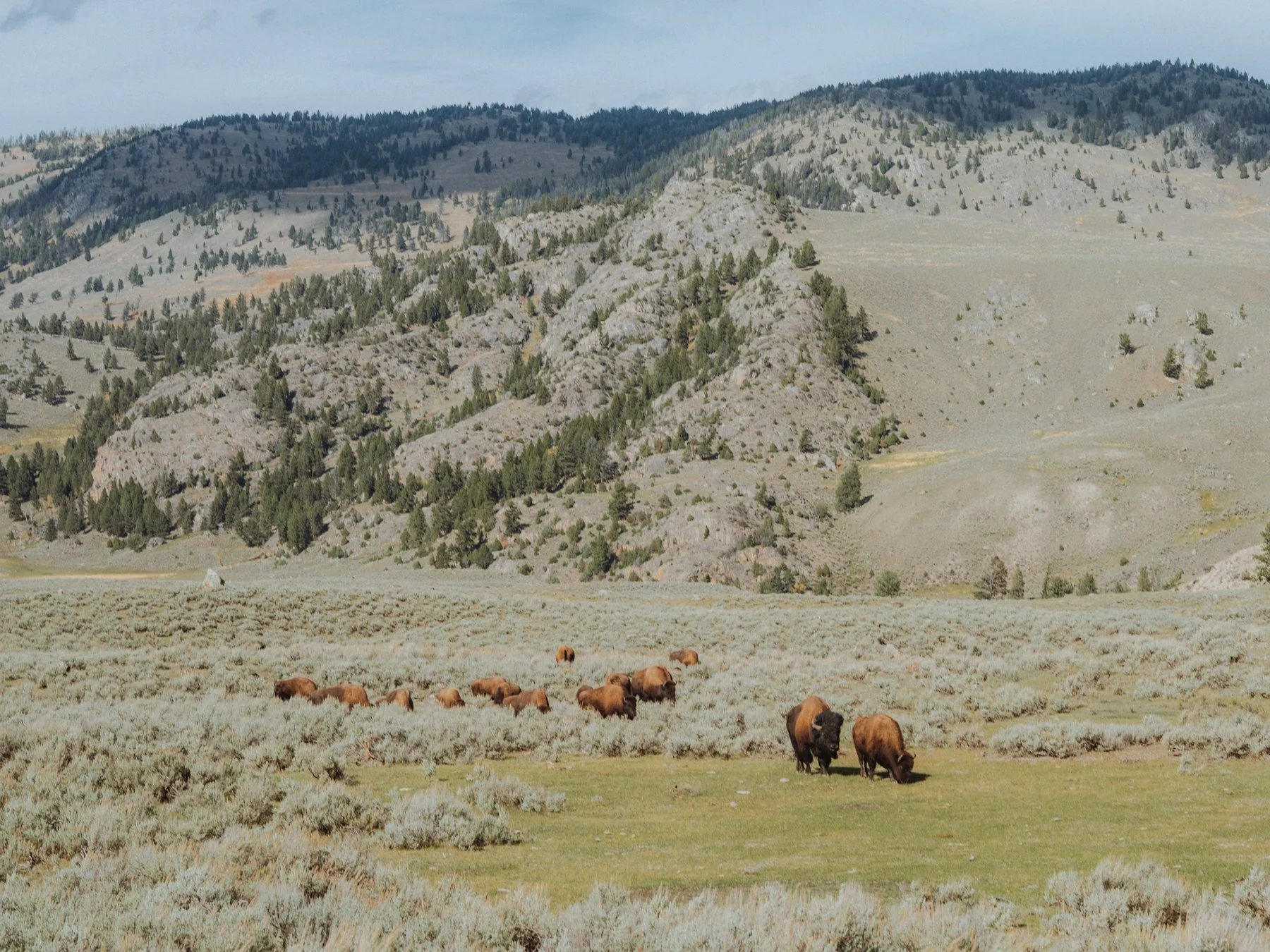 wyoming-summer-2026-143.jpg