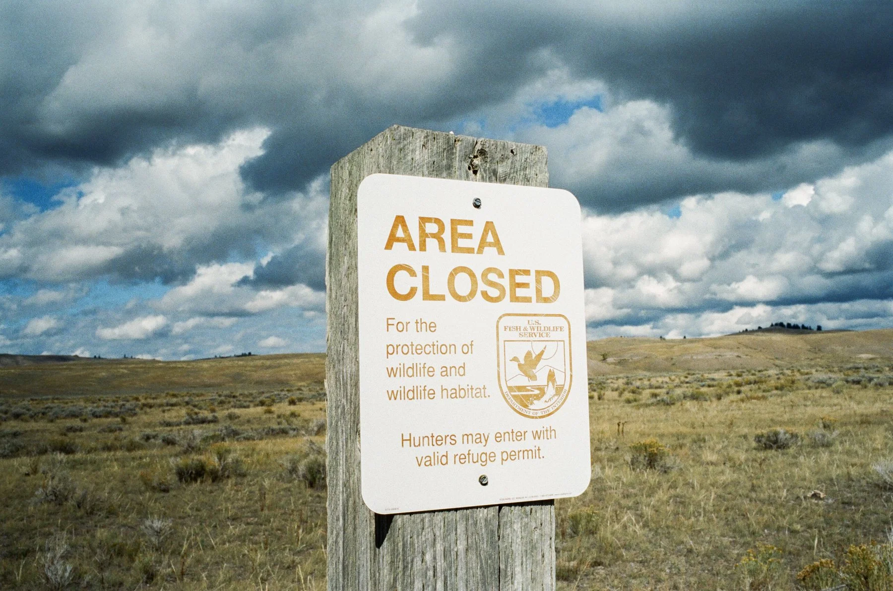 wyoming-summer-2026-095.jpg