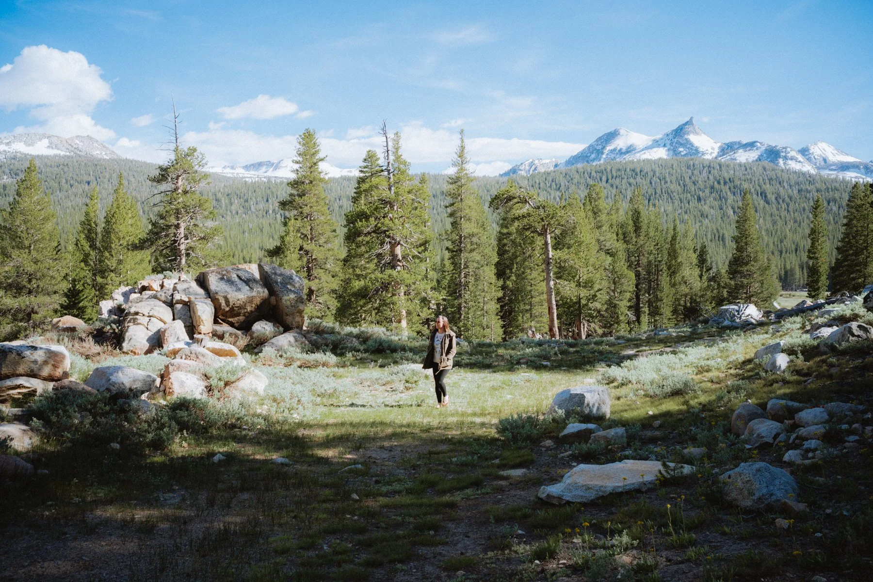 eastern-sierras-summer-2026-7.jpg