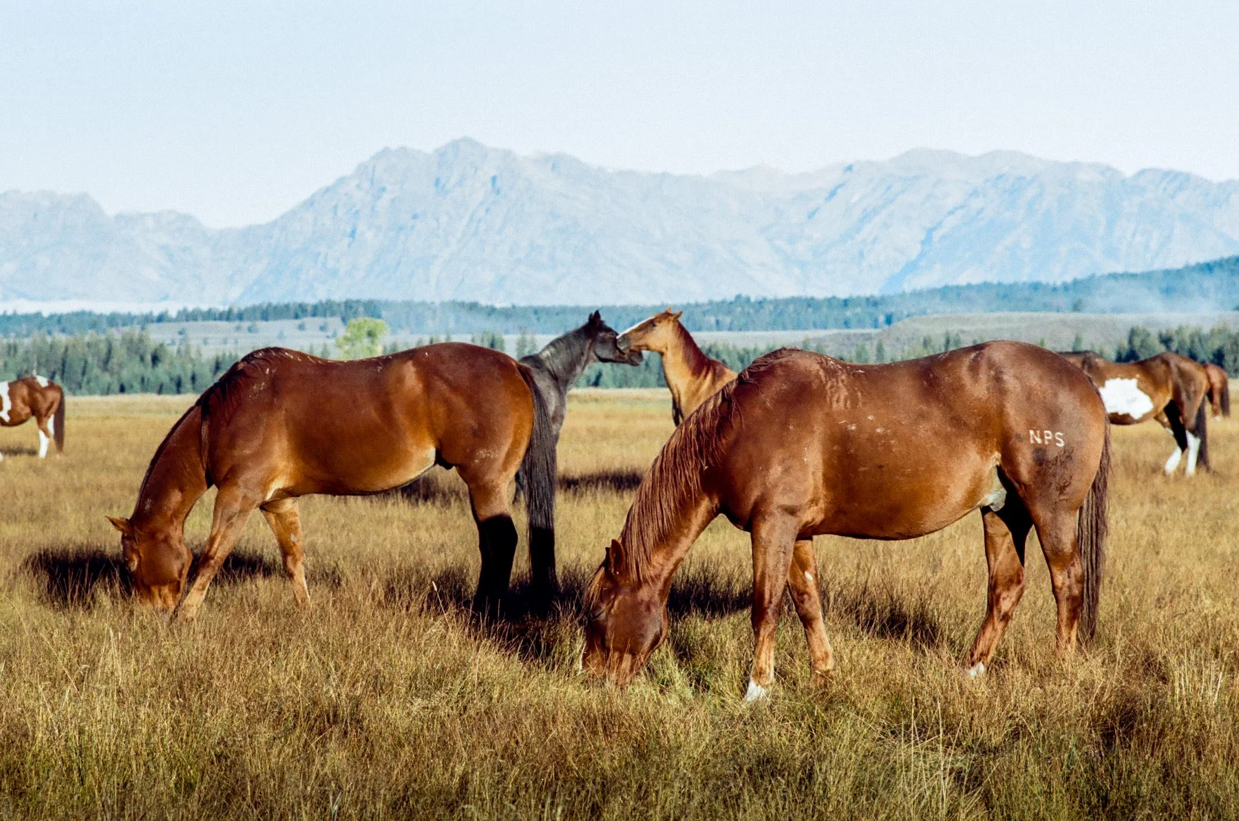 wyoming-summer-2026-073.jpg