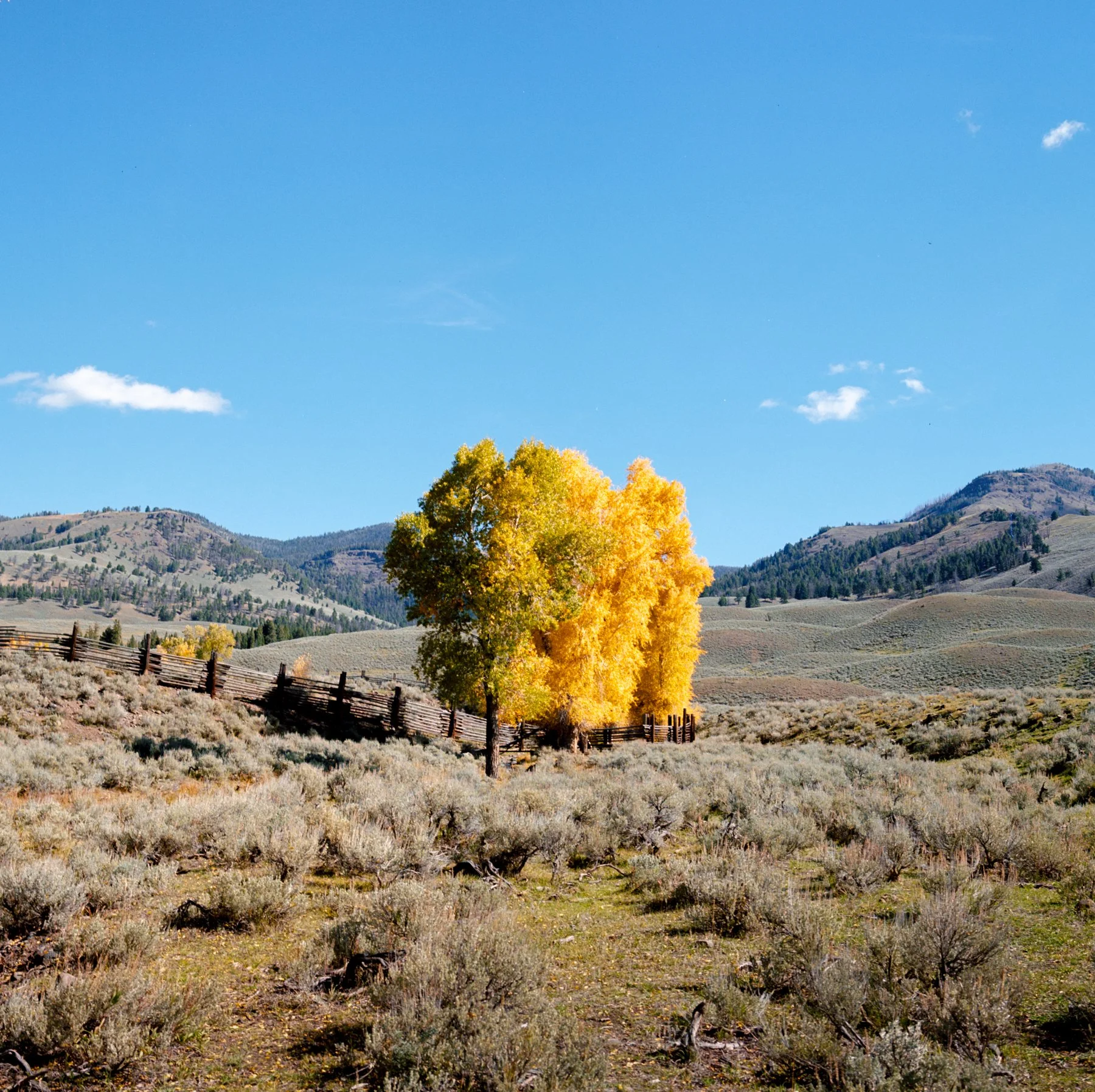 wyoming-summer-2026-187.jpg
