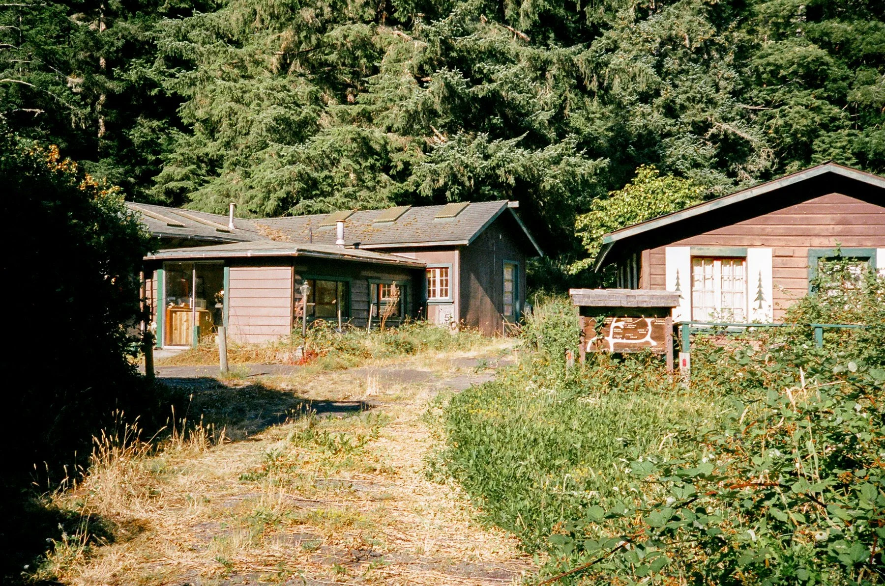 northern-ca-summer-2026-06.jpg