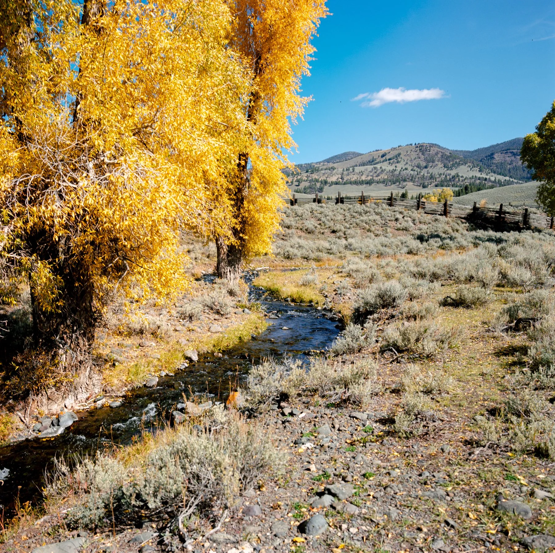 wyoming-summer-2026-186.jpg