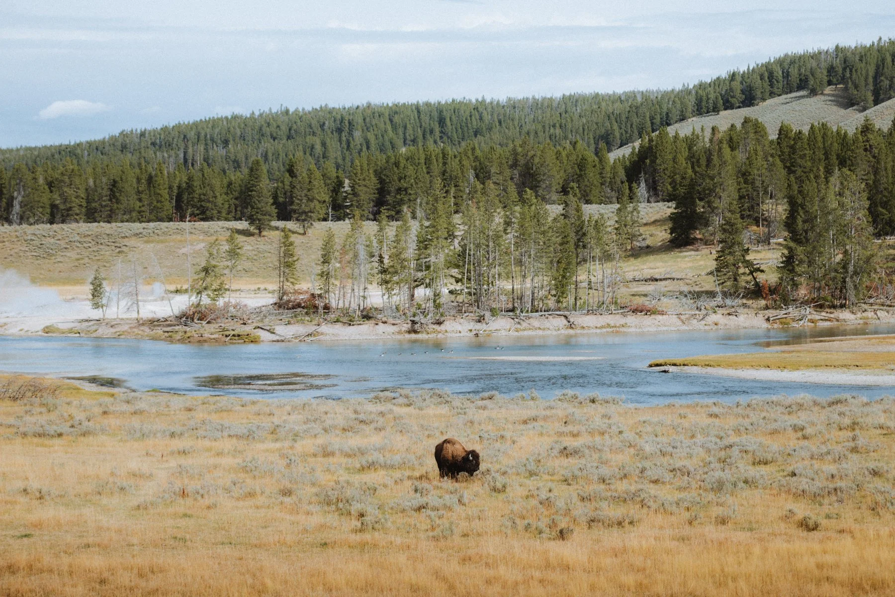wyoming-summer-2026-108.jpg