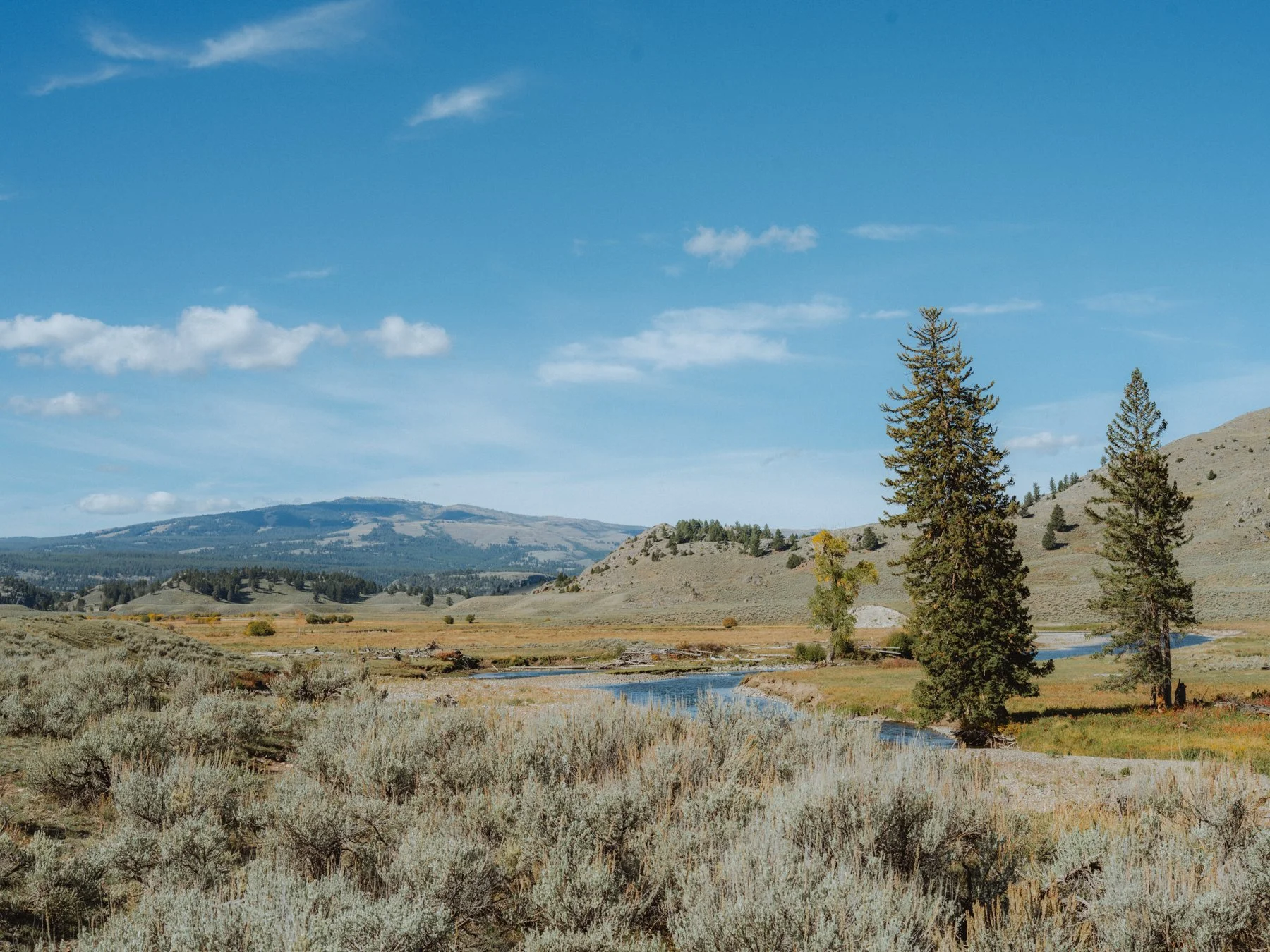 wyoming-summer-2026-133.jpg