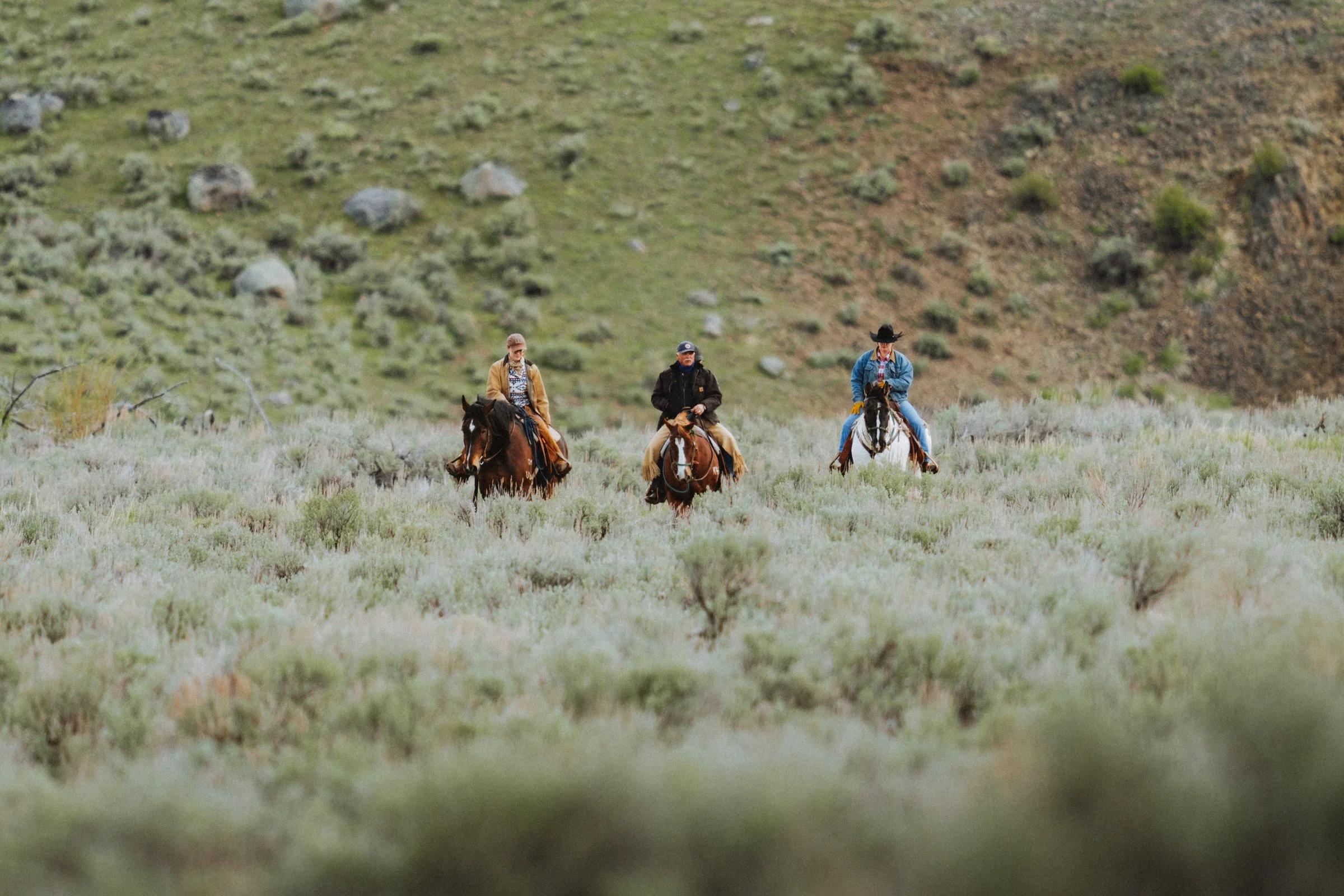 western-docu-03.jpg