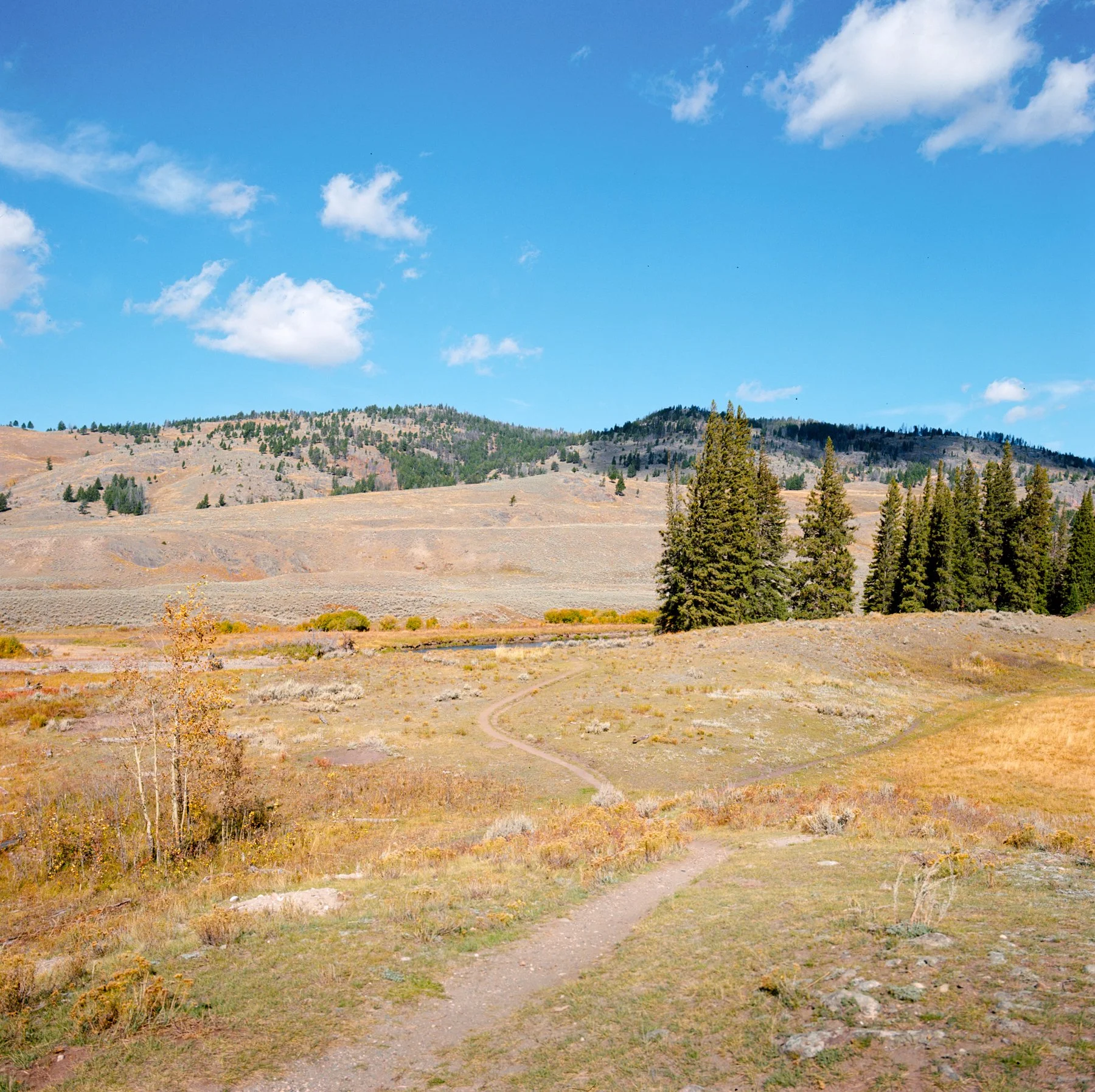 wyoming-summer-2026-185.jpg