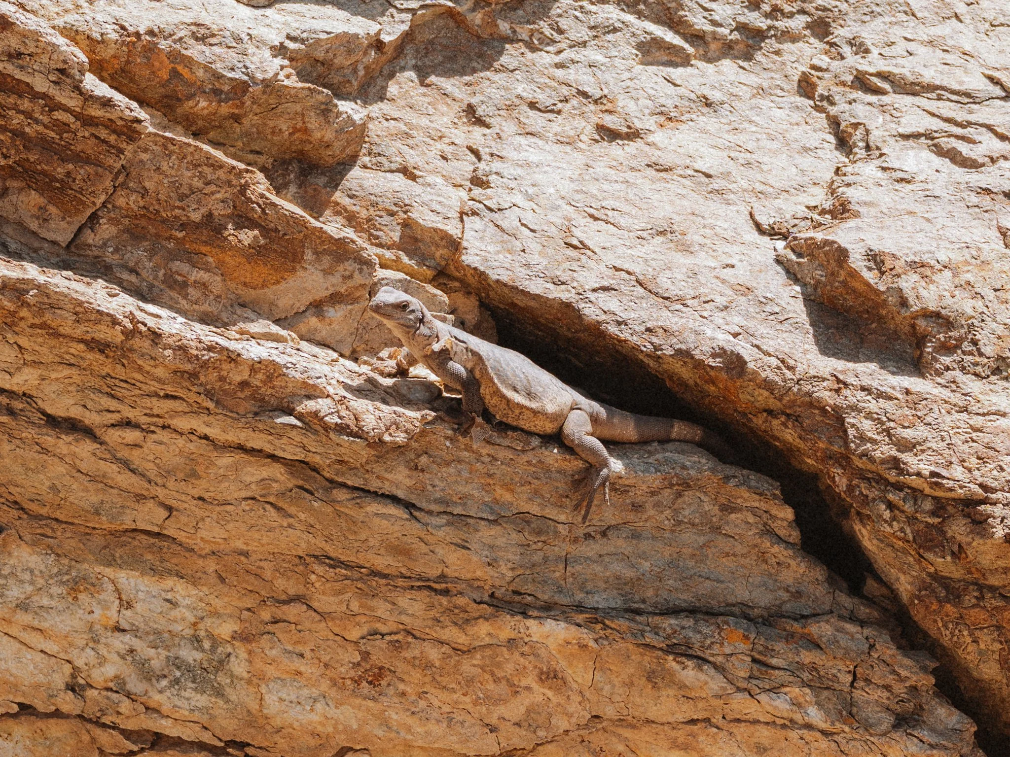 desert-crossing-spring-2026-31.jpg