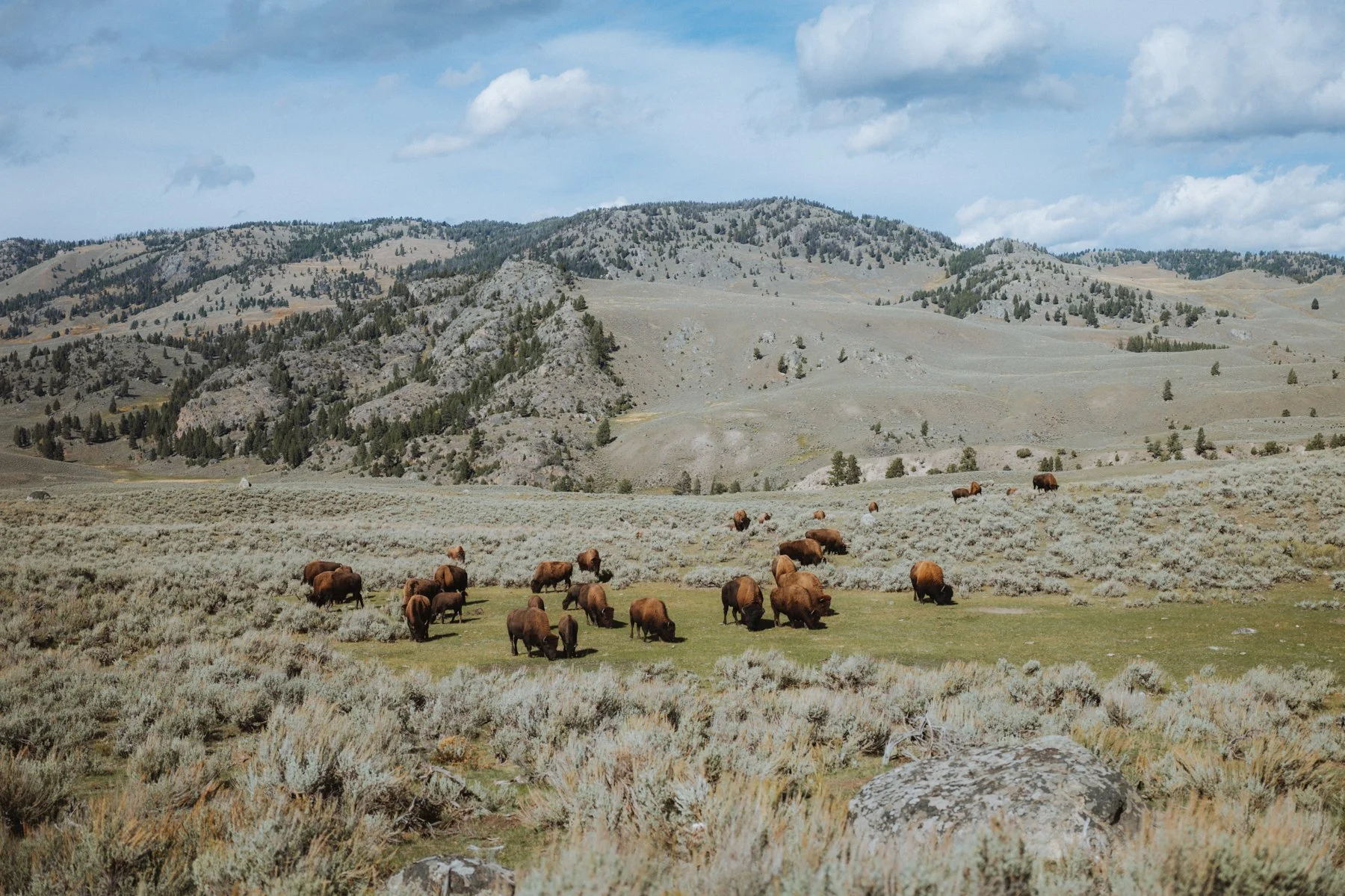 wyoming-summer-2026-116.jpg