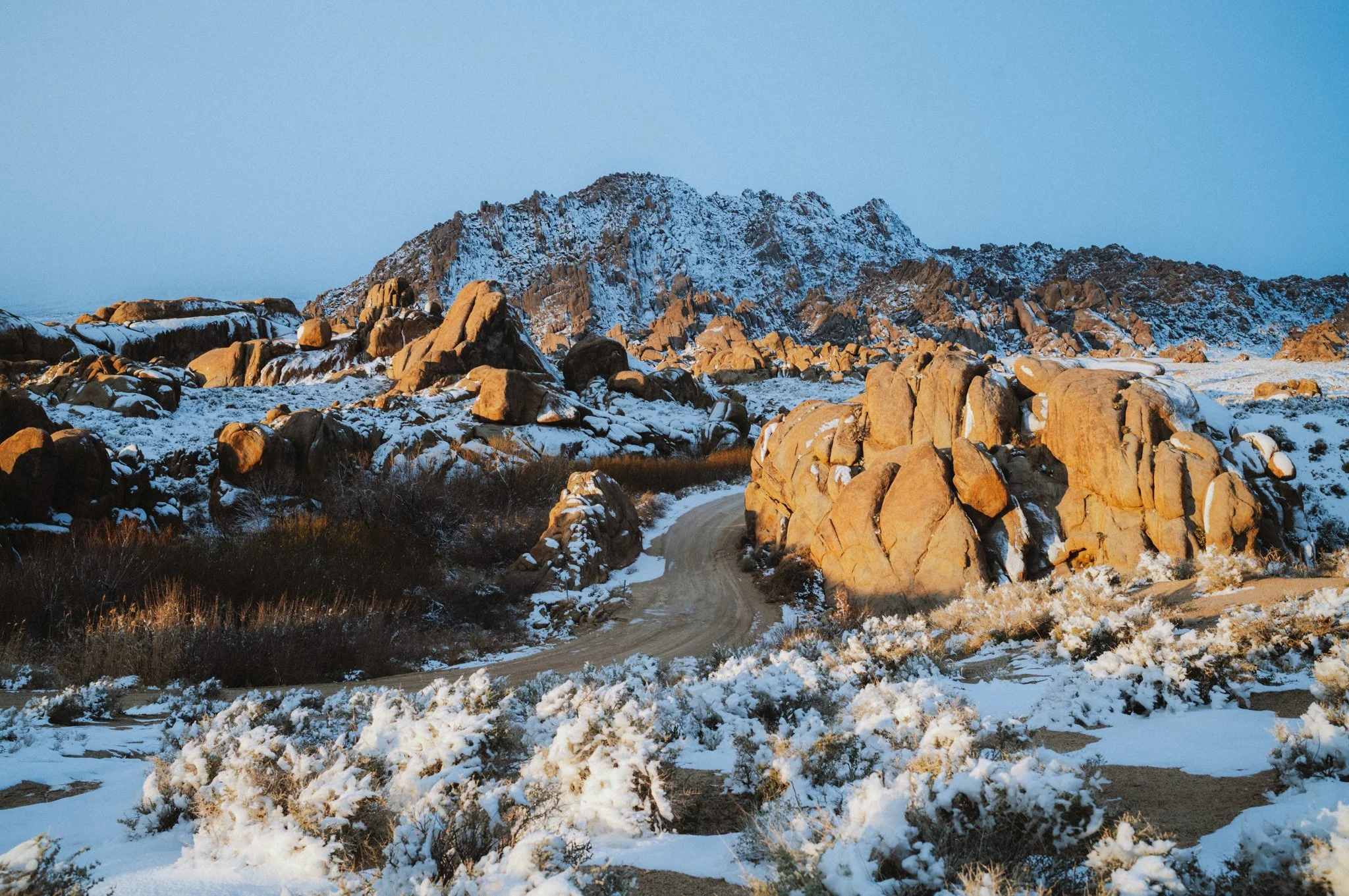 California Desert // Winter 2026