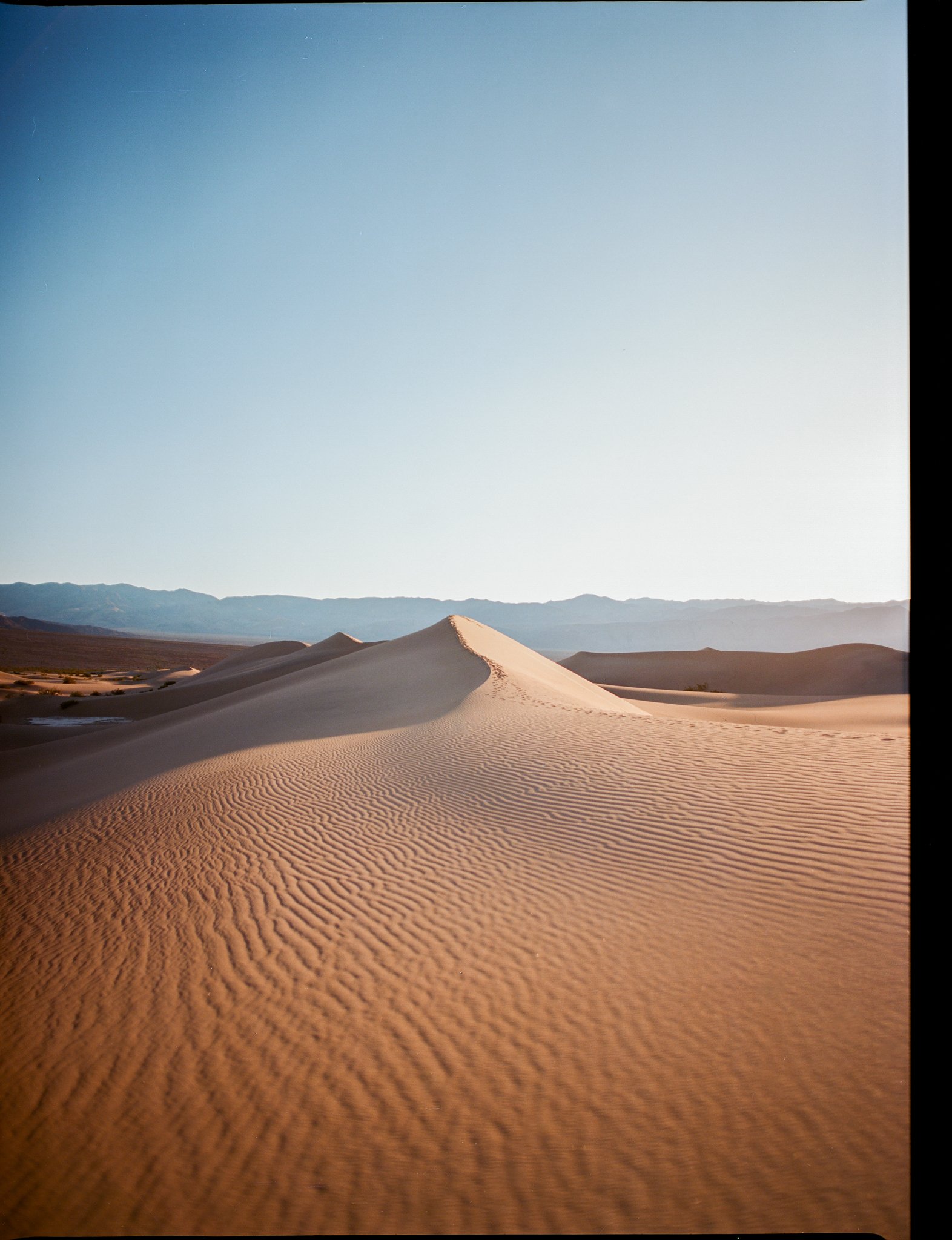 desert-crossing-spring-2026-45.jpg