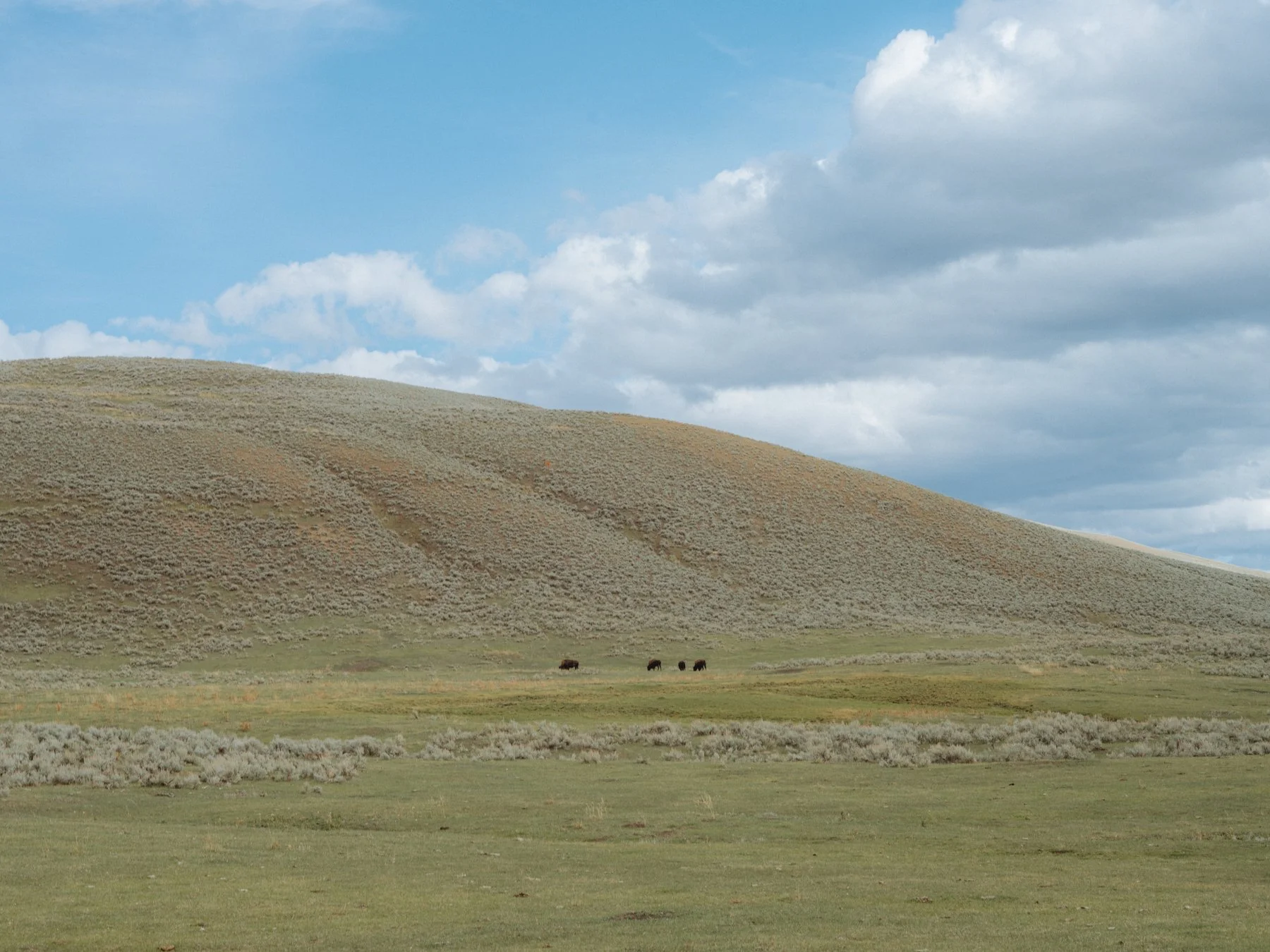 wyoming-summer-2026-149.jpg