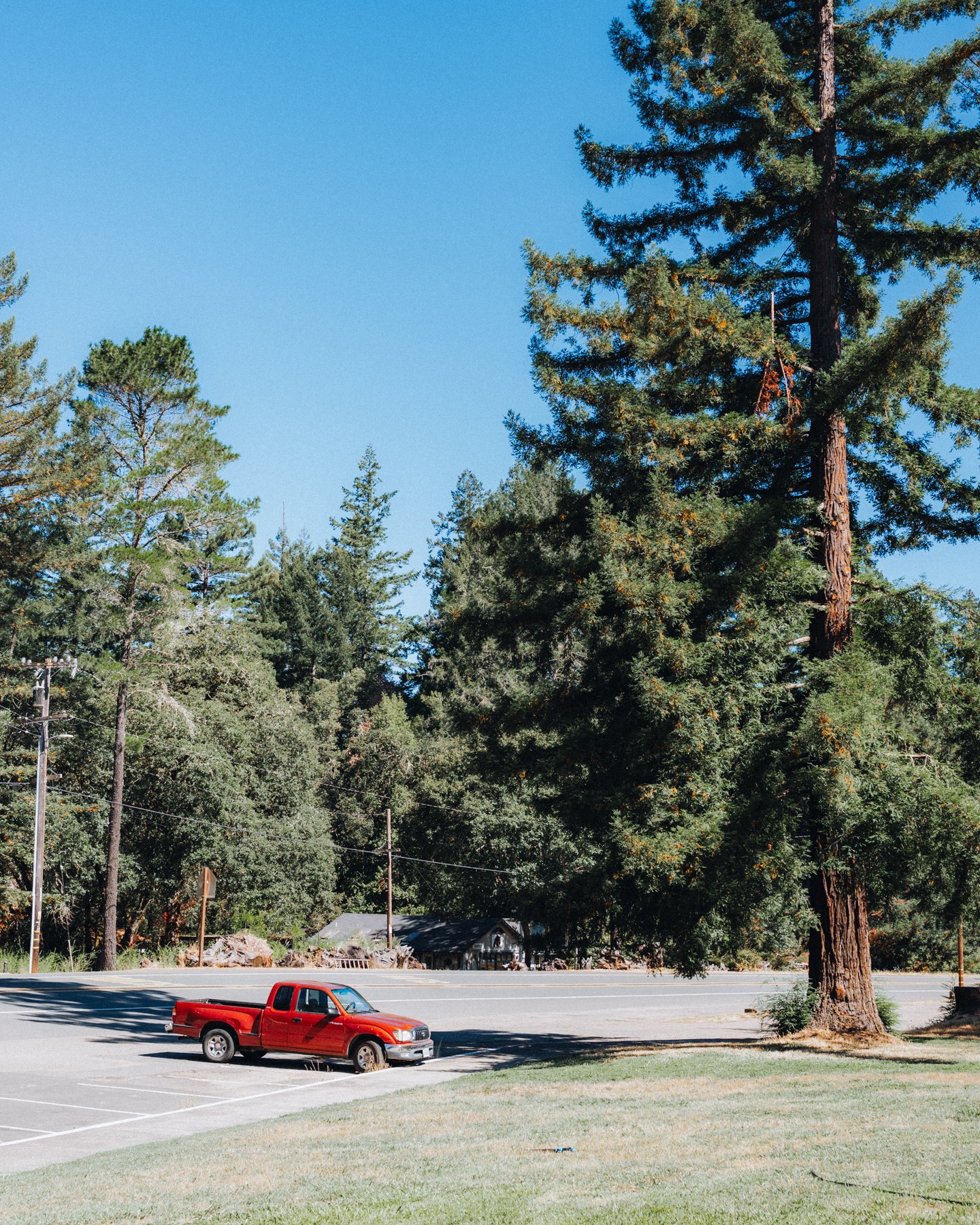 northern-ca-summer-2026-49.jpg