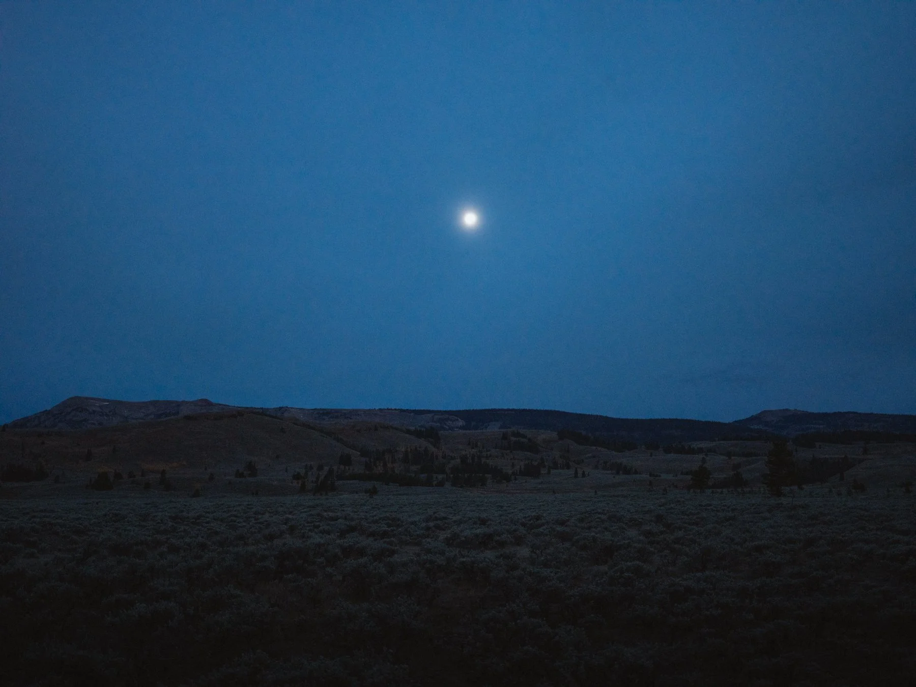 wyoming-summer-2026-158.jpg