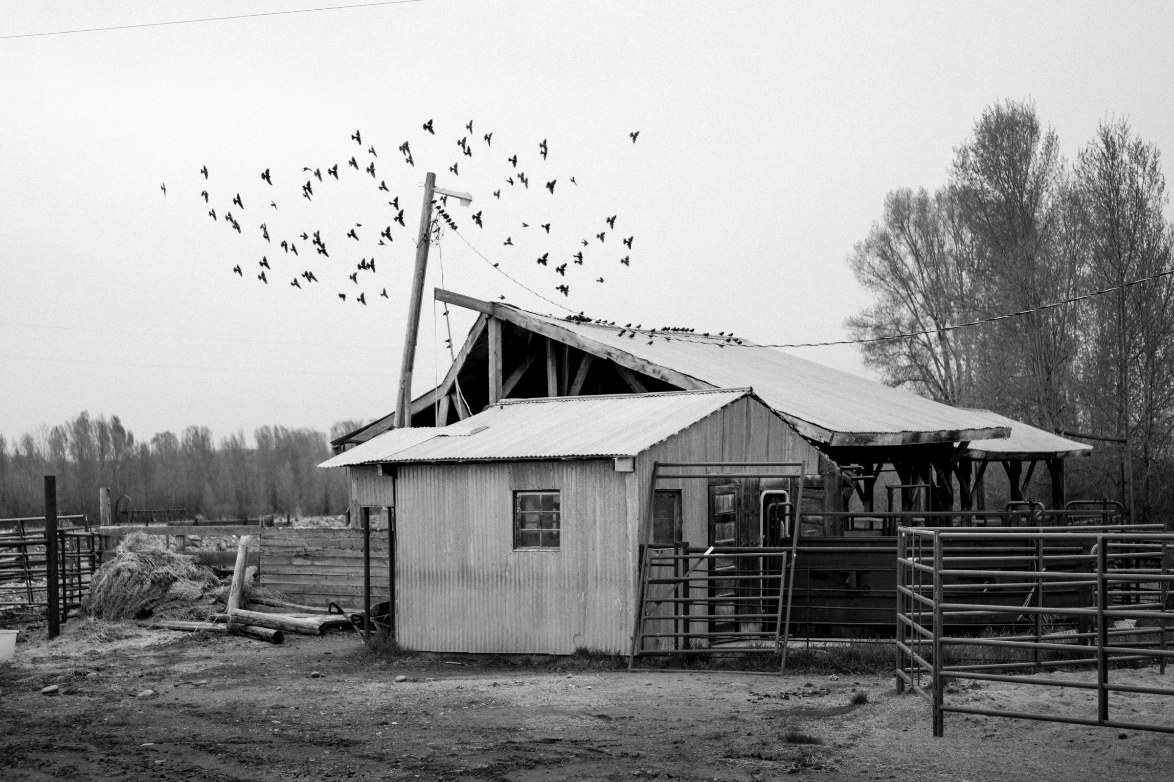 western-docu-07.jpg