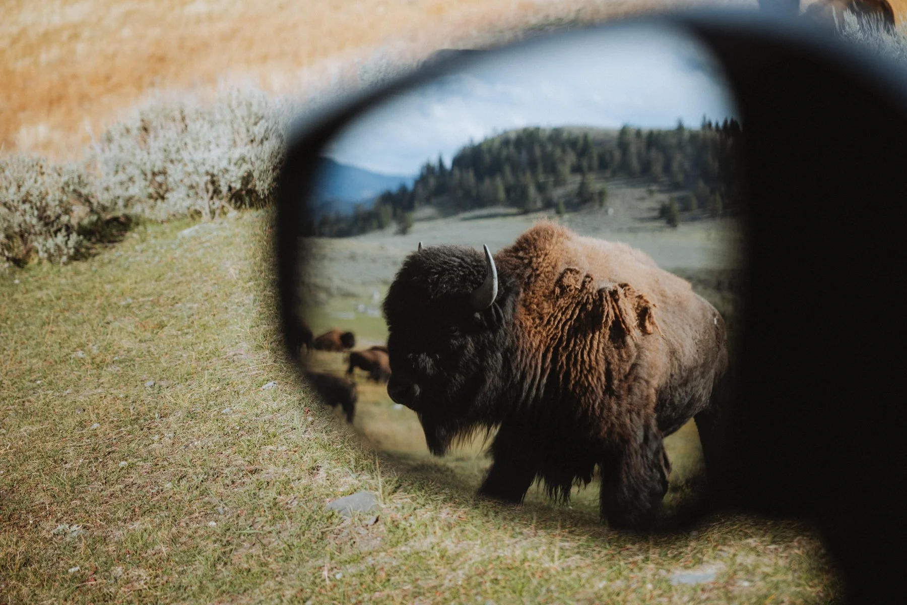 wyoming-summer-2026-119.jpg