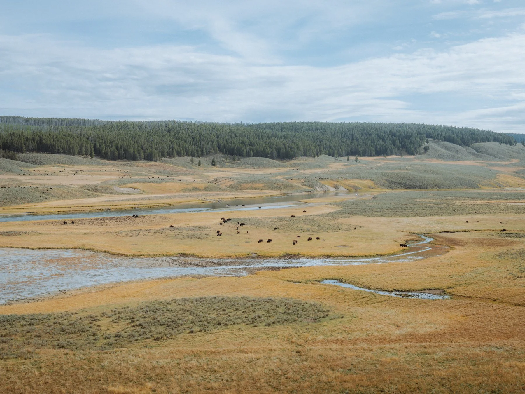 wyoming-summer-2026-181.jpg