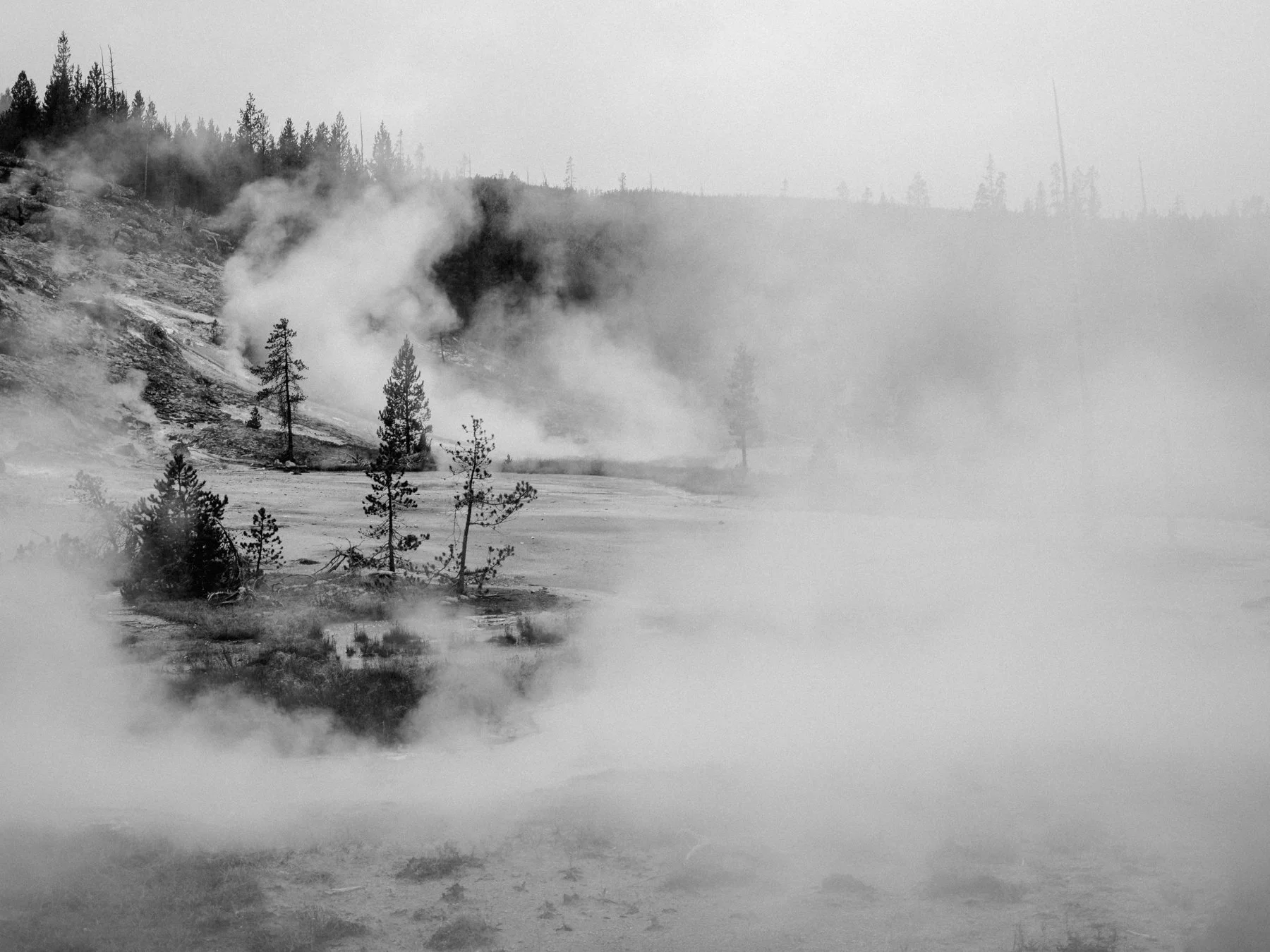 wyoming-summer-2026-170.jpg