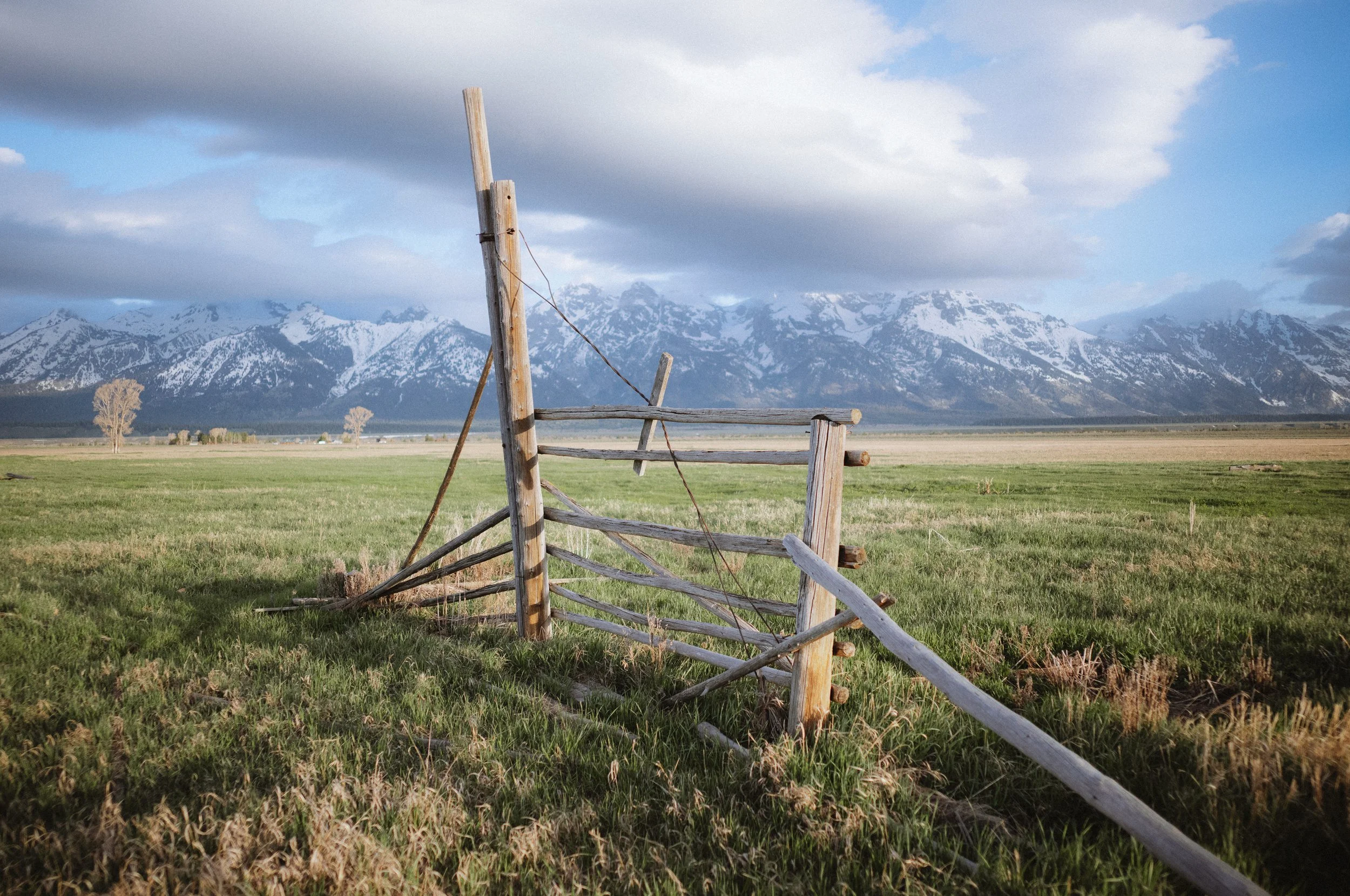 wyoming-spring-2025-14.jpg