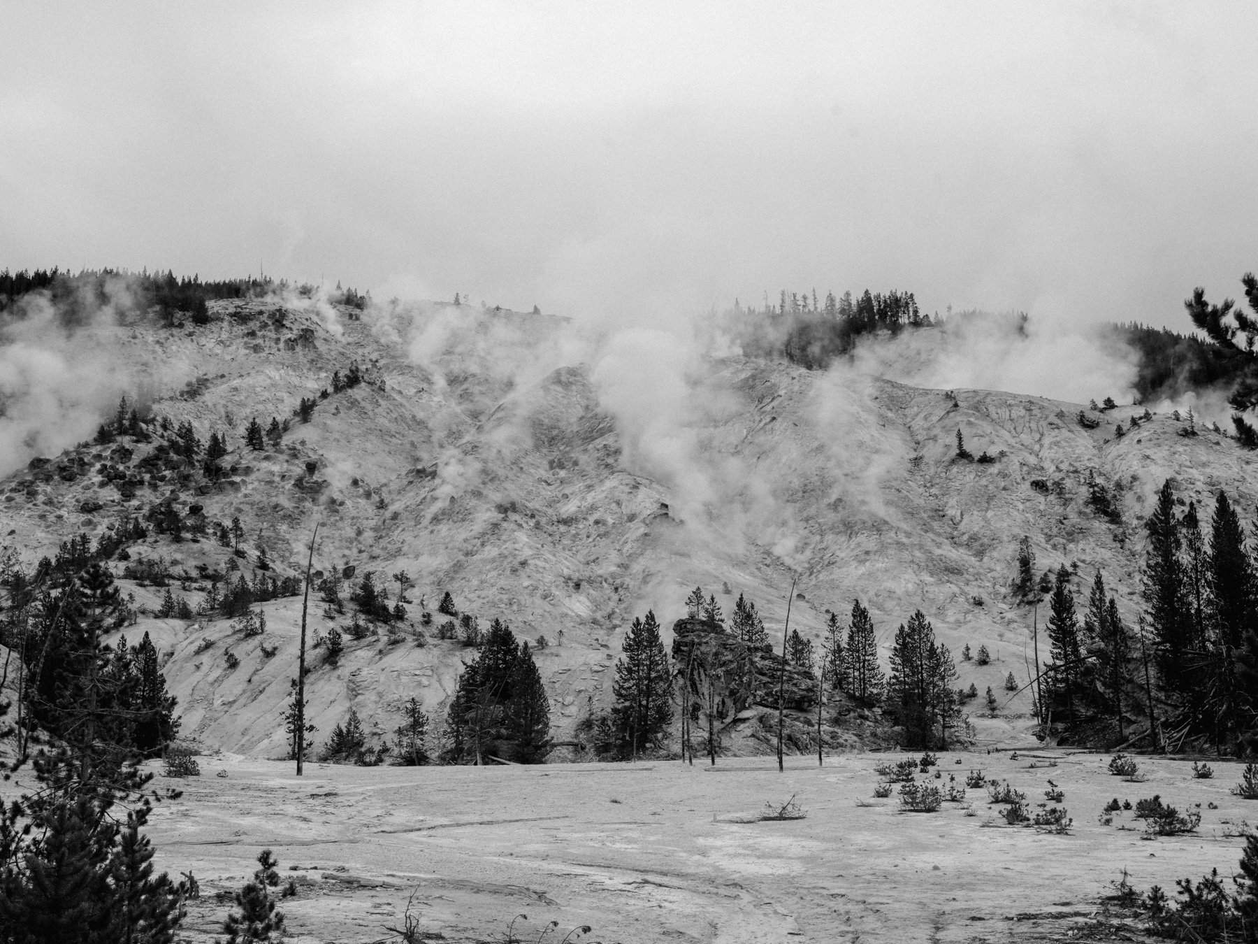 wyoming-summer-2026-160.jpg