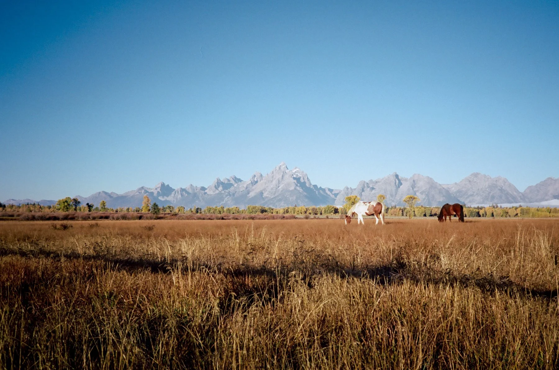 wyoming-summer-2026-087.jpg