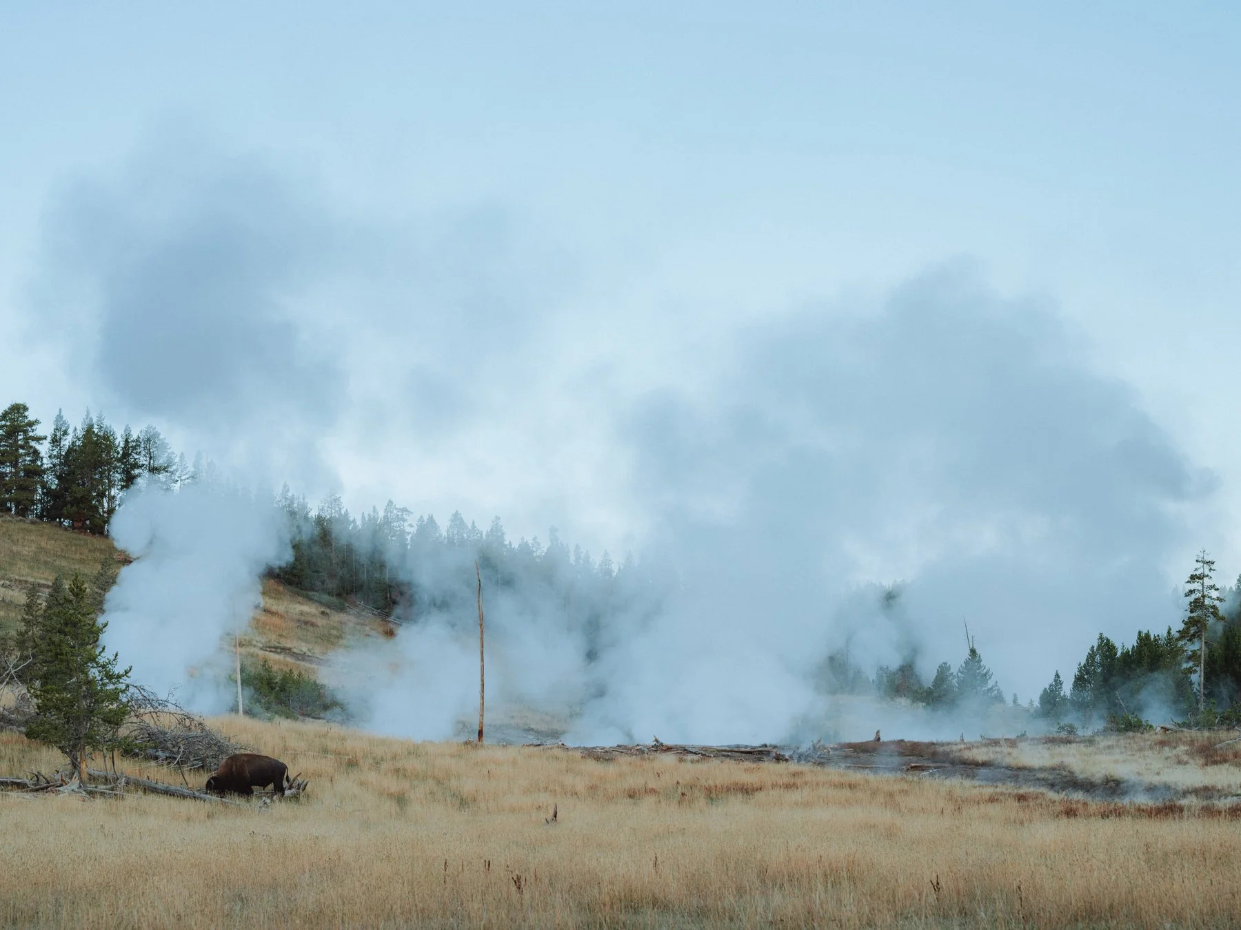 wyoming-summer-2026-127.jpg