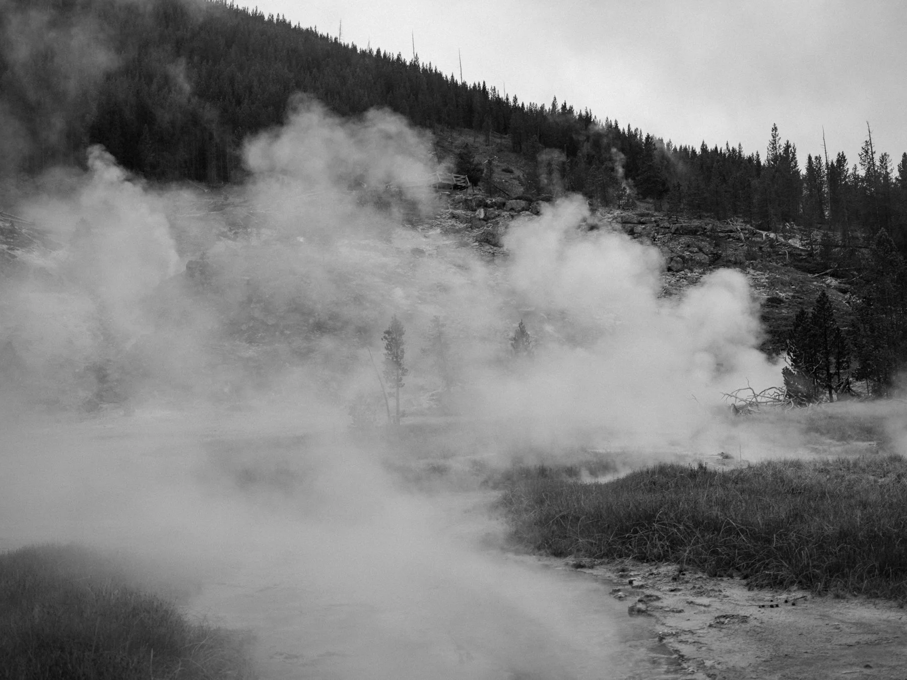 wyoming-summer-2026-169.jpg