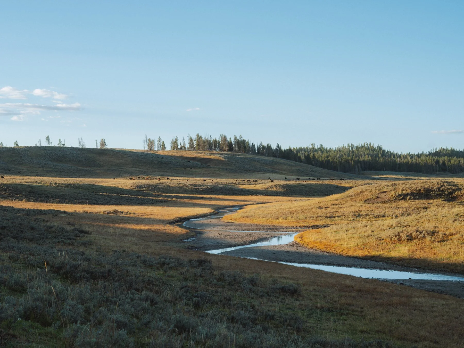 wyoming-summer-2026-128.jpg