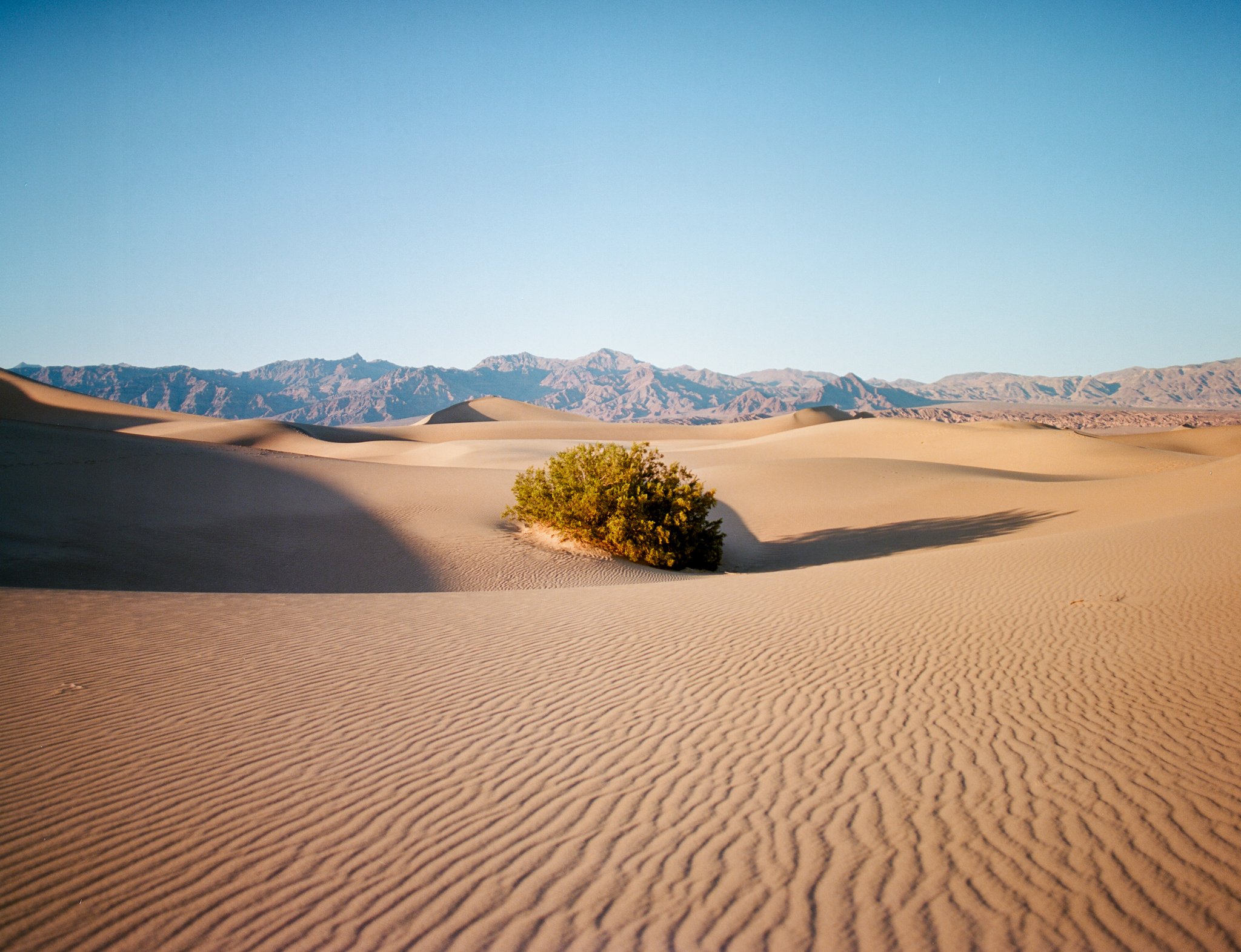 desert-crossing-spring-2026-44.jpg