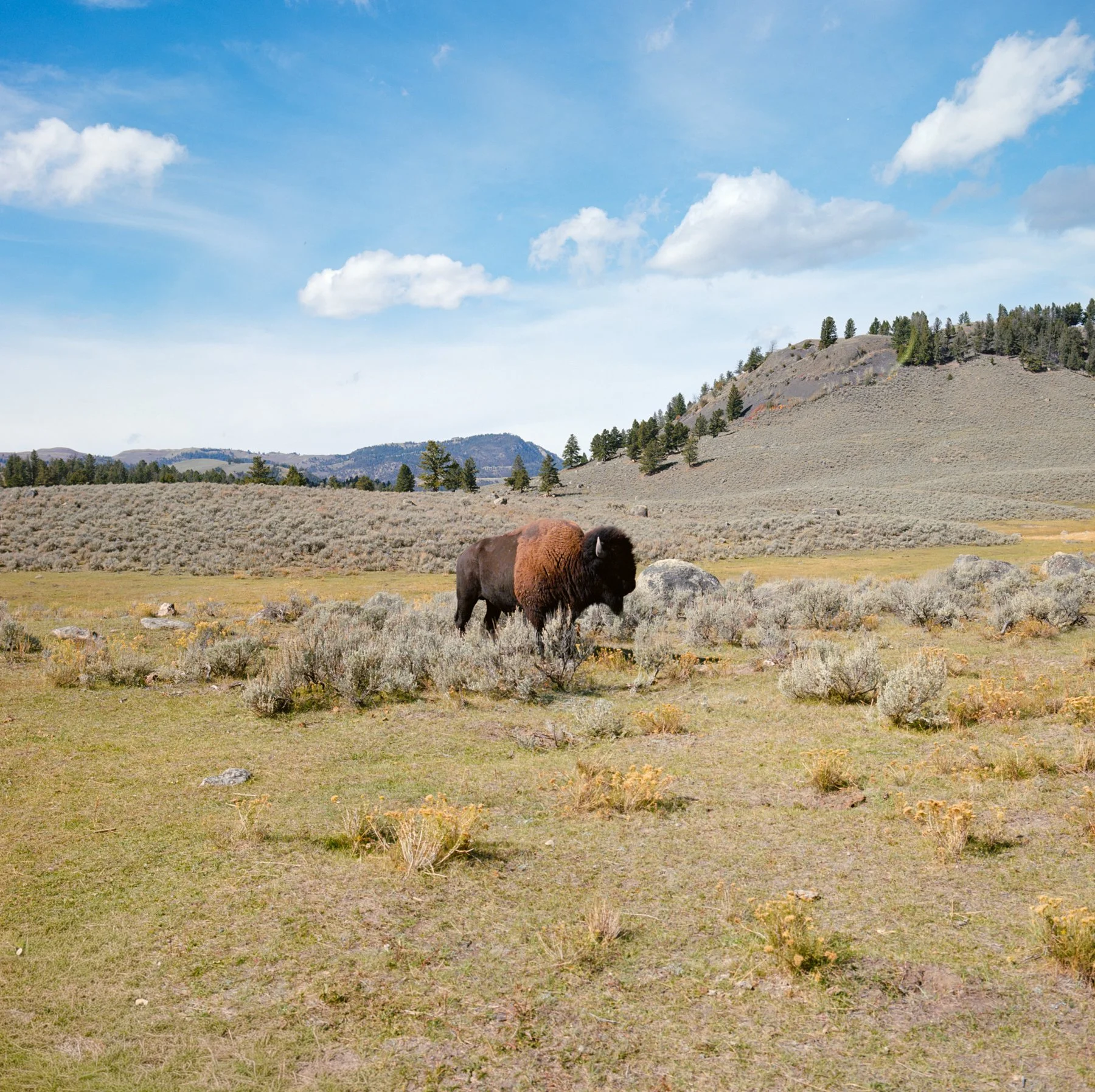 wyoming-summer-2026-197.jpg