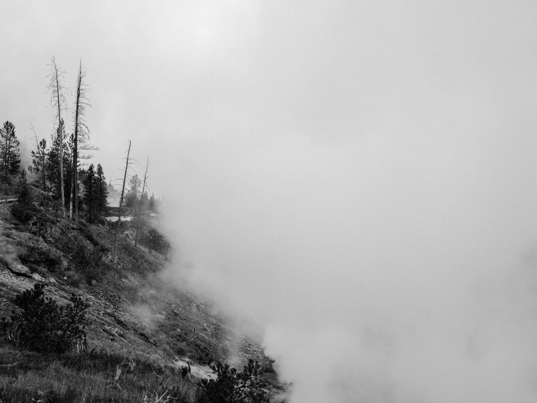wyoming-summer-2026-171.jpg