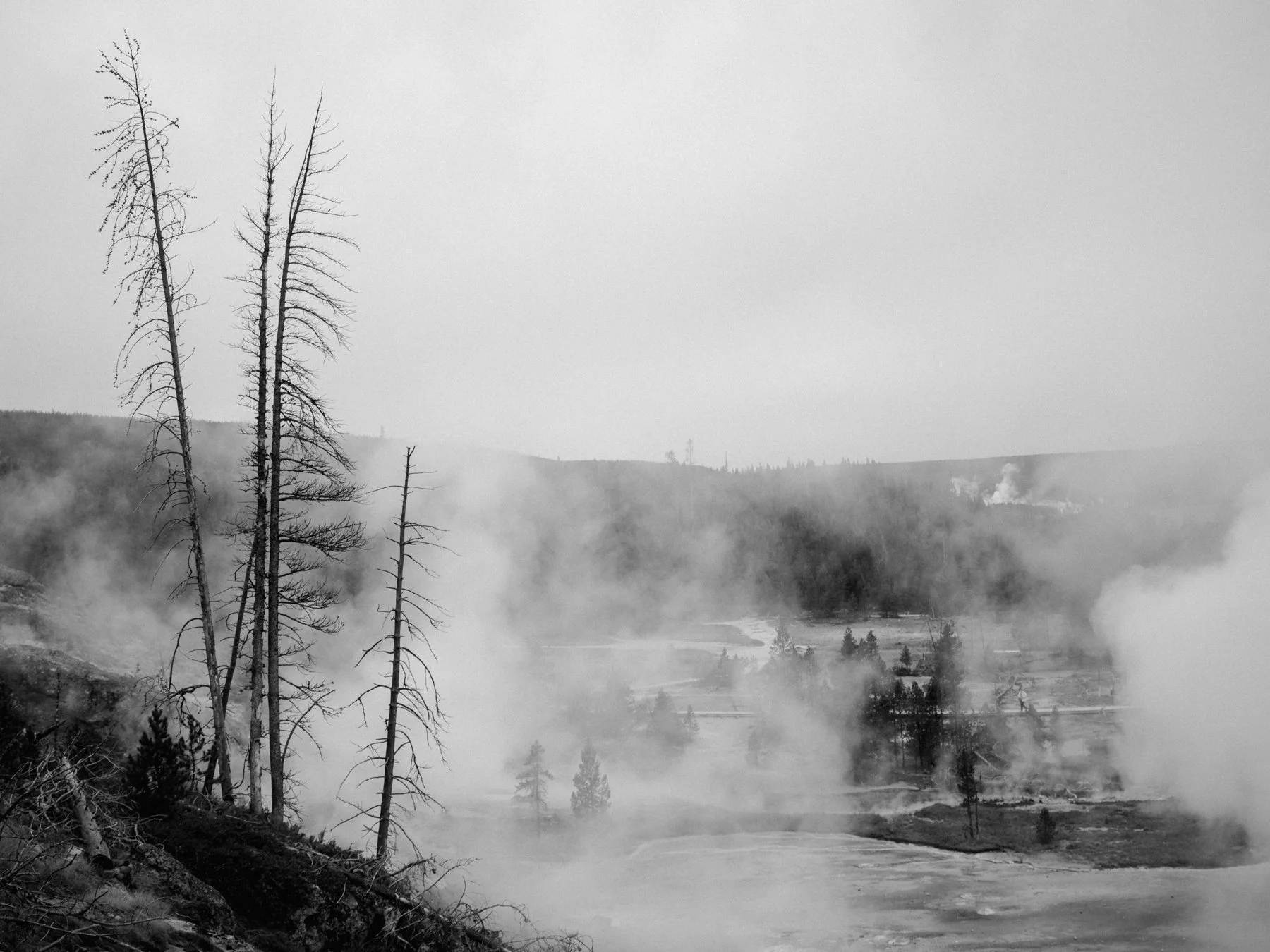 wyoming-summer-2026-173.jpg