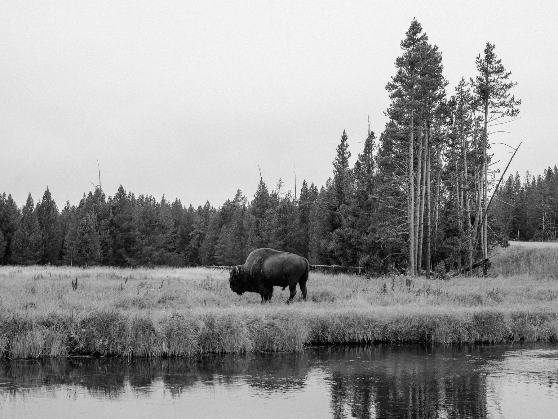 wyoming-summer-2026-162.jpg