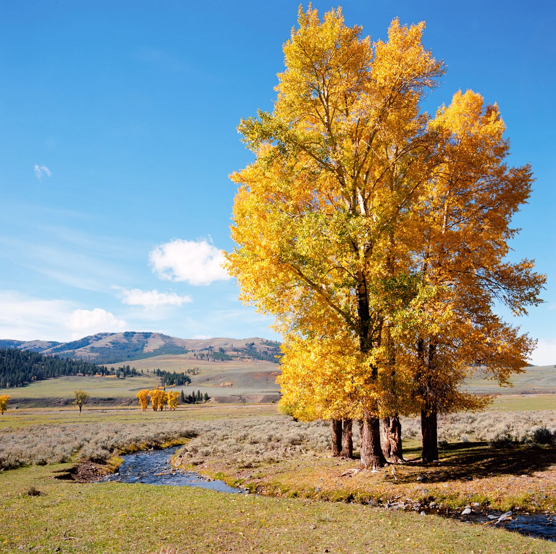 wyoming-summer-2026-188.jpg