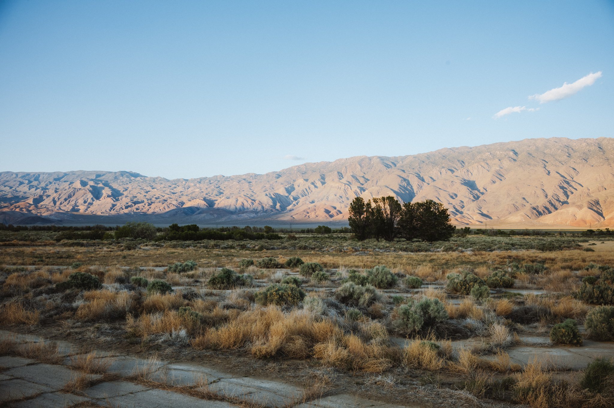 desert-crossing-spring-2026-17.jpg