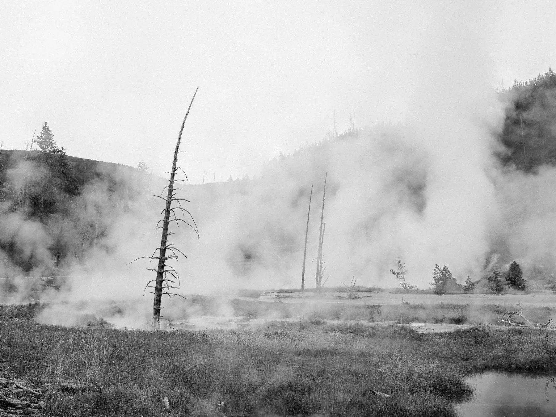 wyoming-summer-2026-176.jpg