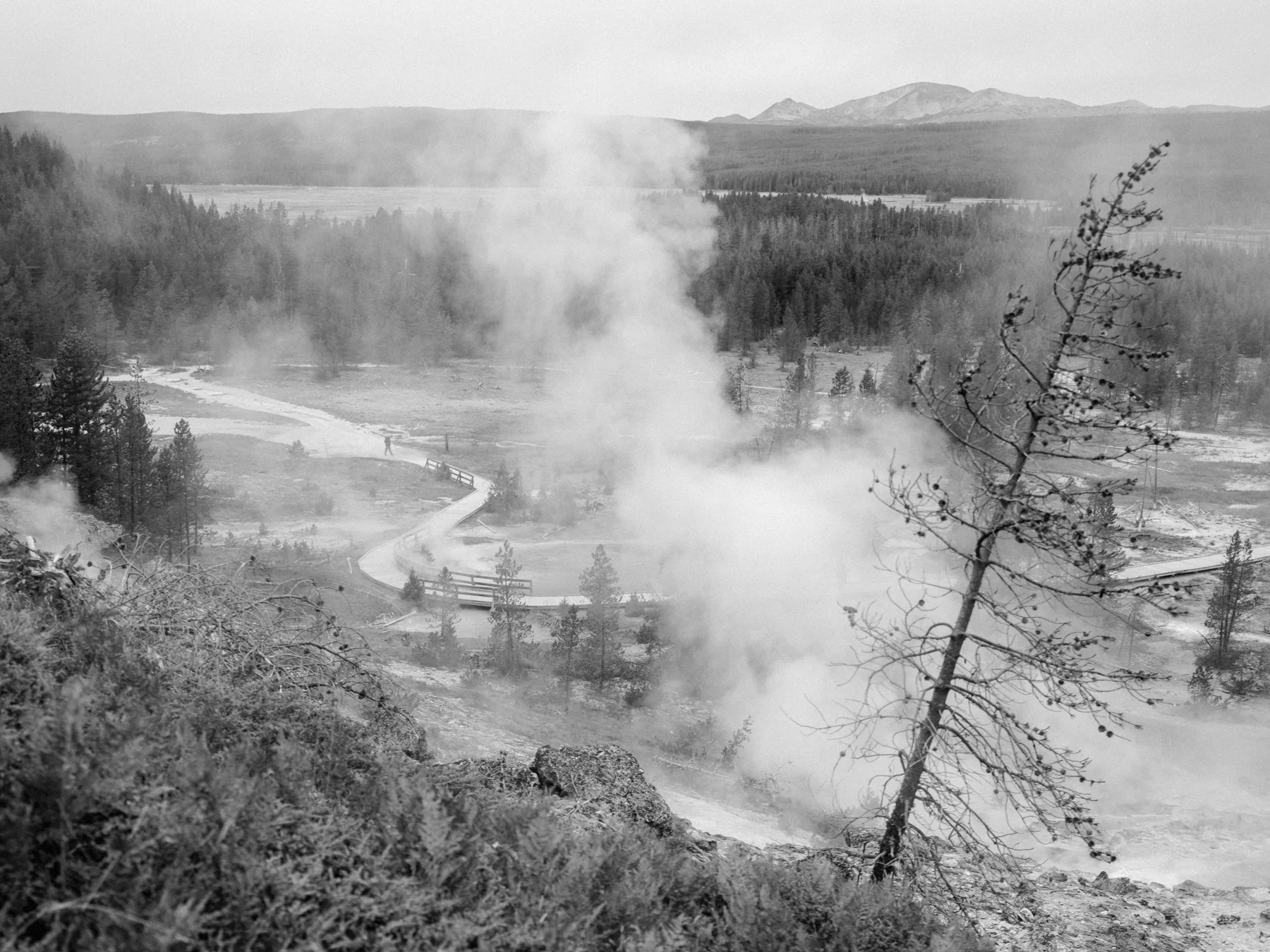 wyoming-summer-2026-174.jpg