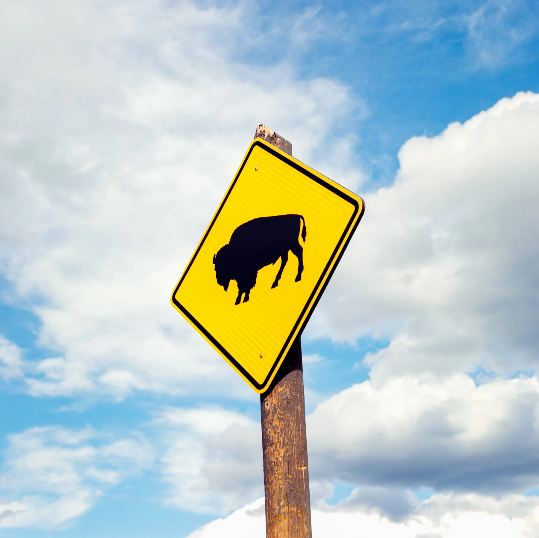wyoming-summer-2026-193.jpg