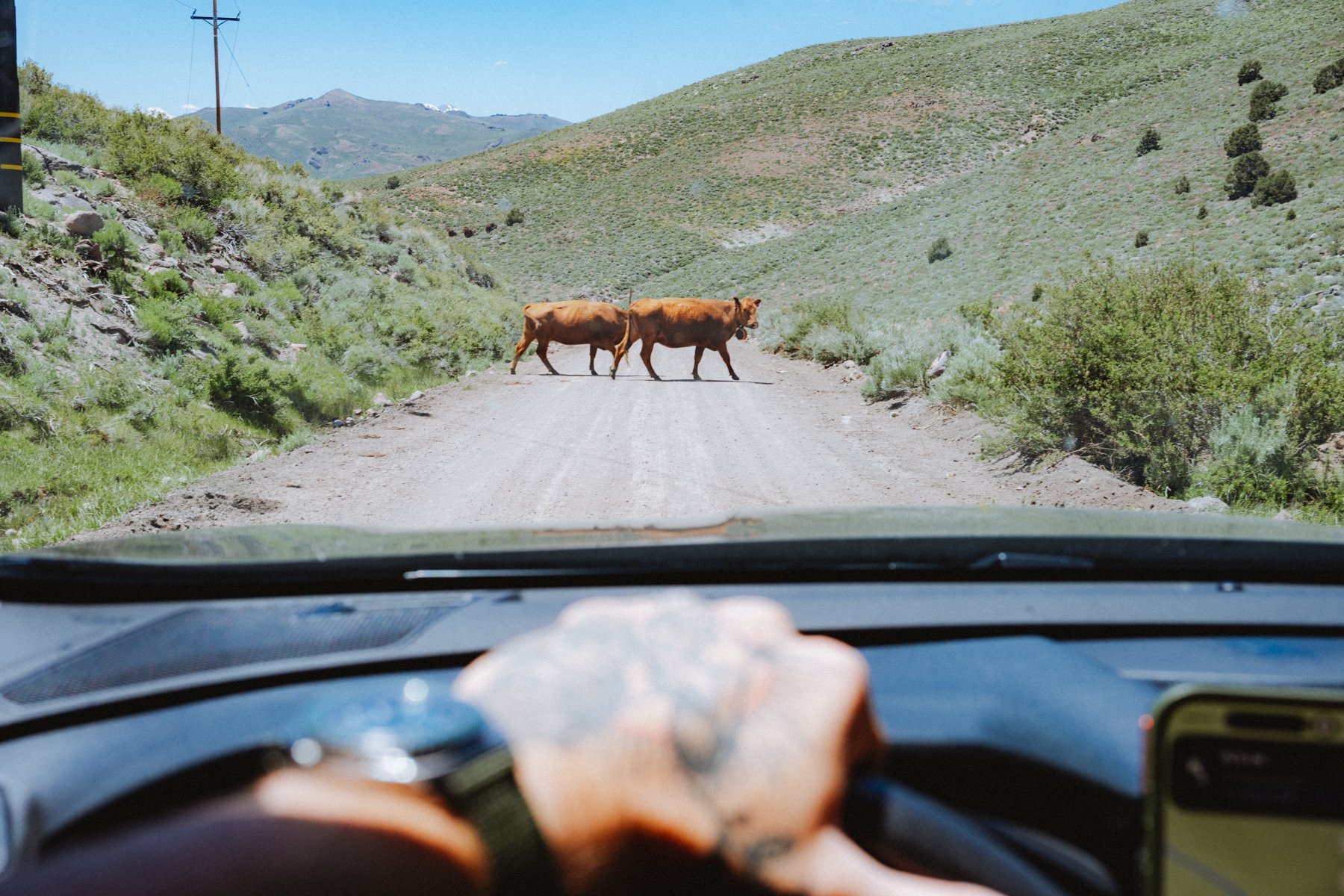 eastern-sierras-summer-2026-16.jpg