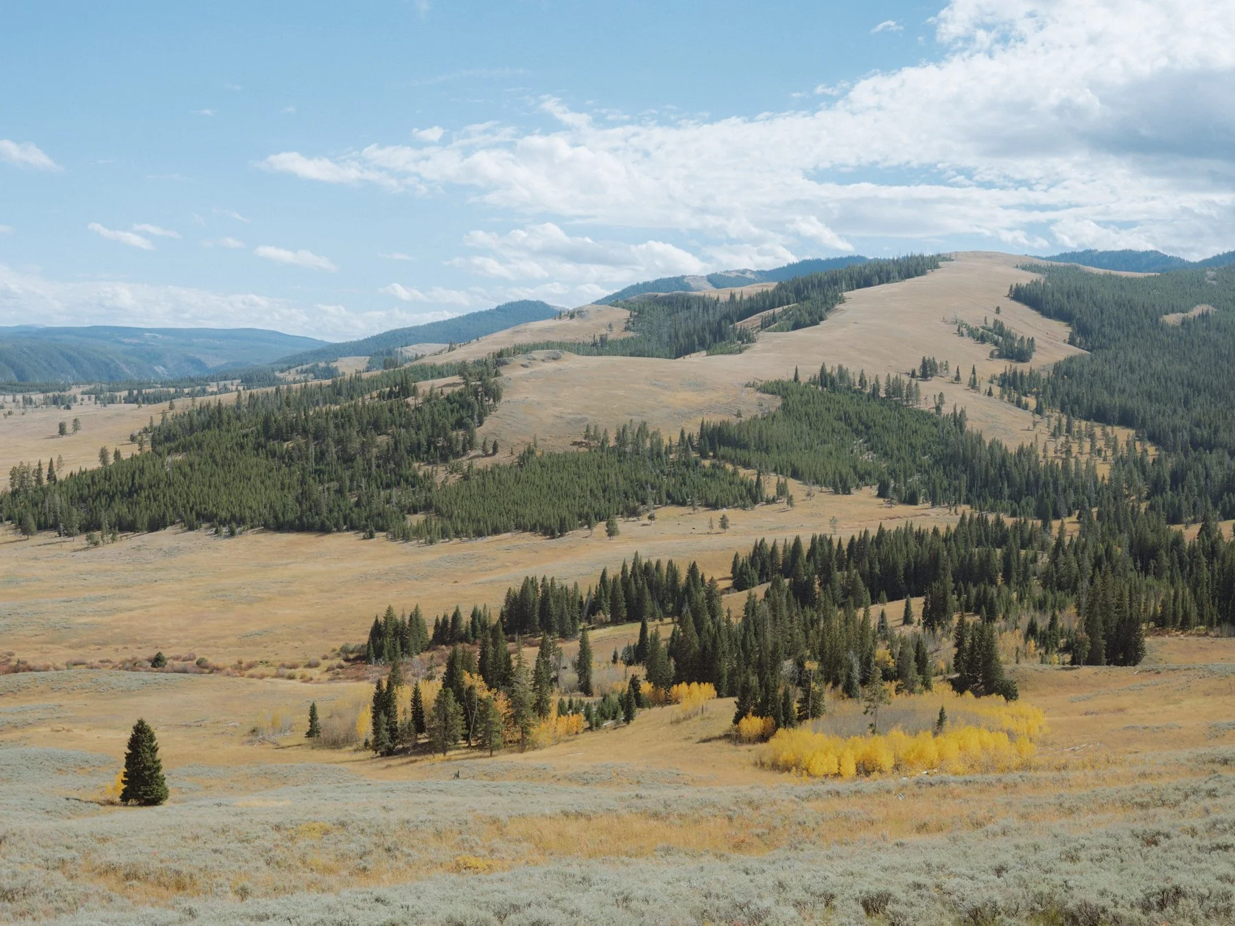 wyoming-summer-2026-139.jpg