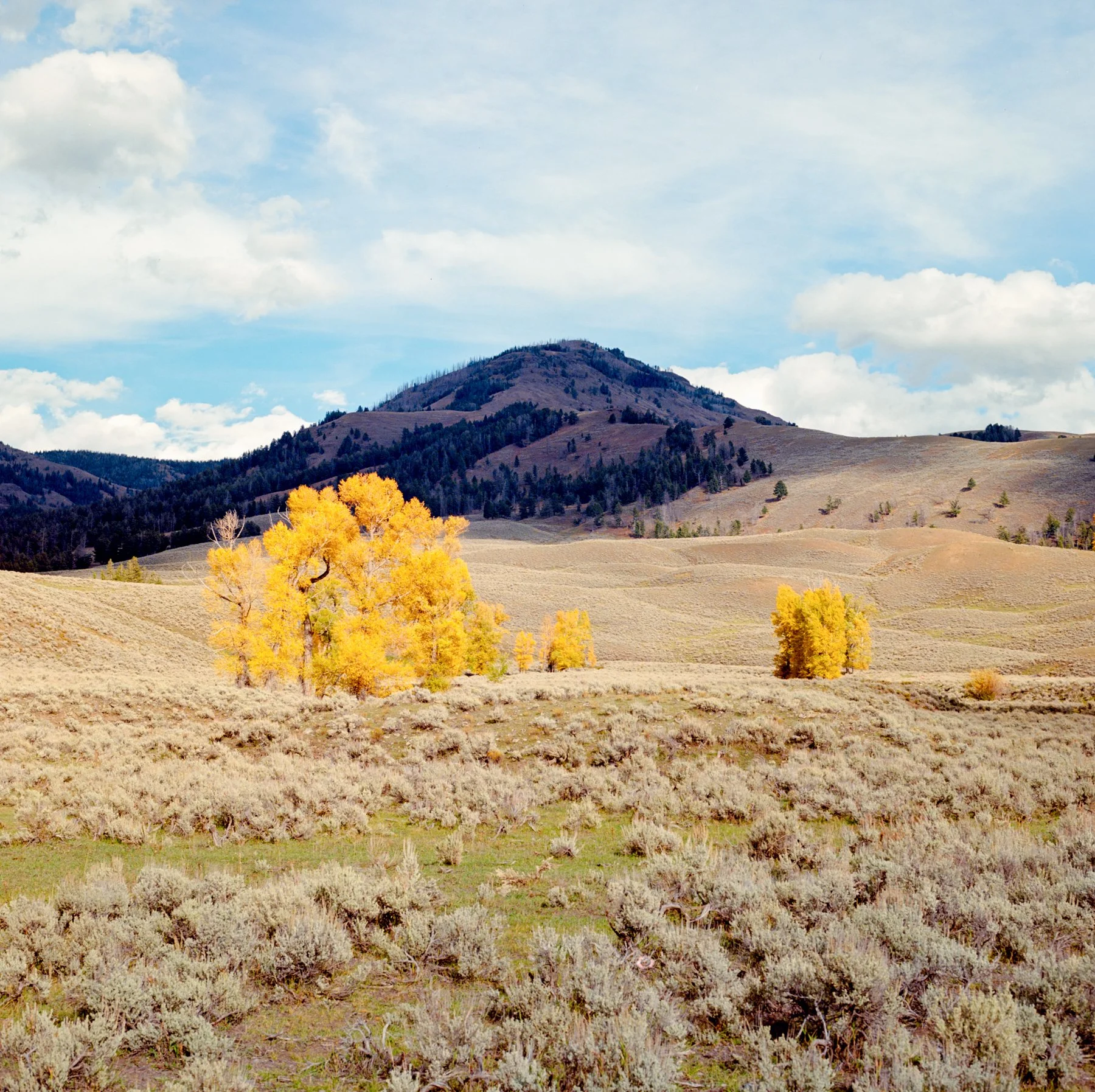 wyoming-summer-2026-194.jpg