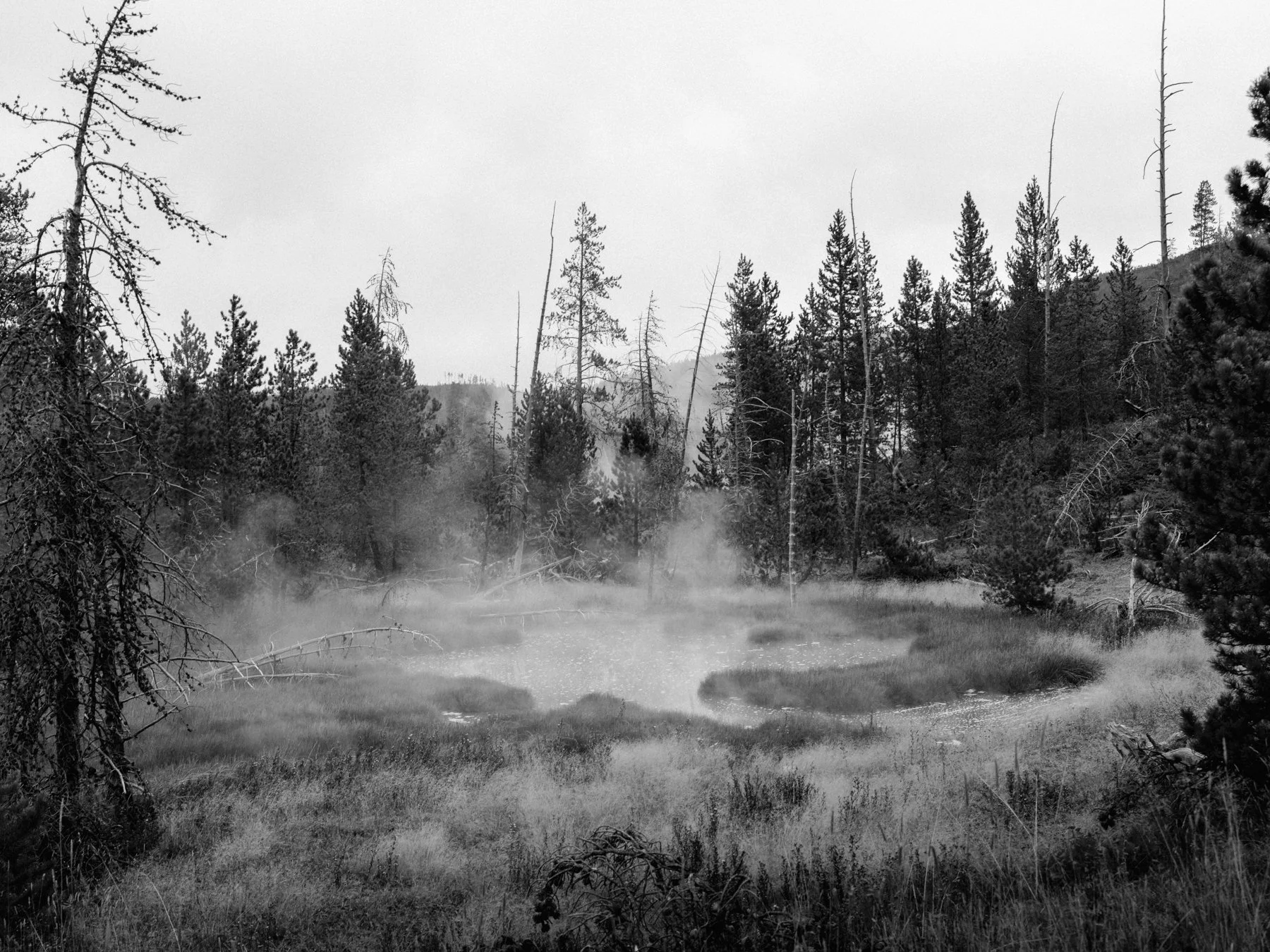 wyoming-summer-2026-172.jpg