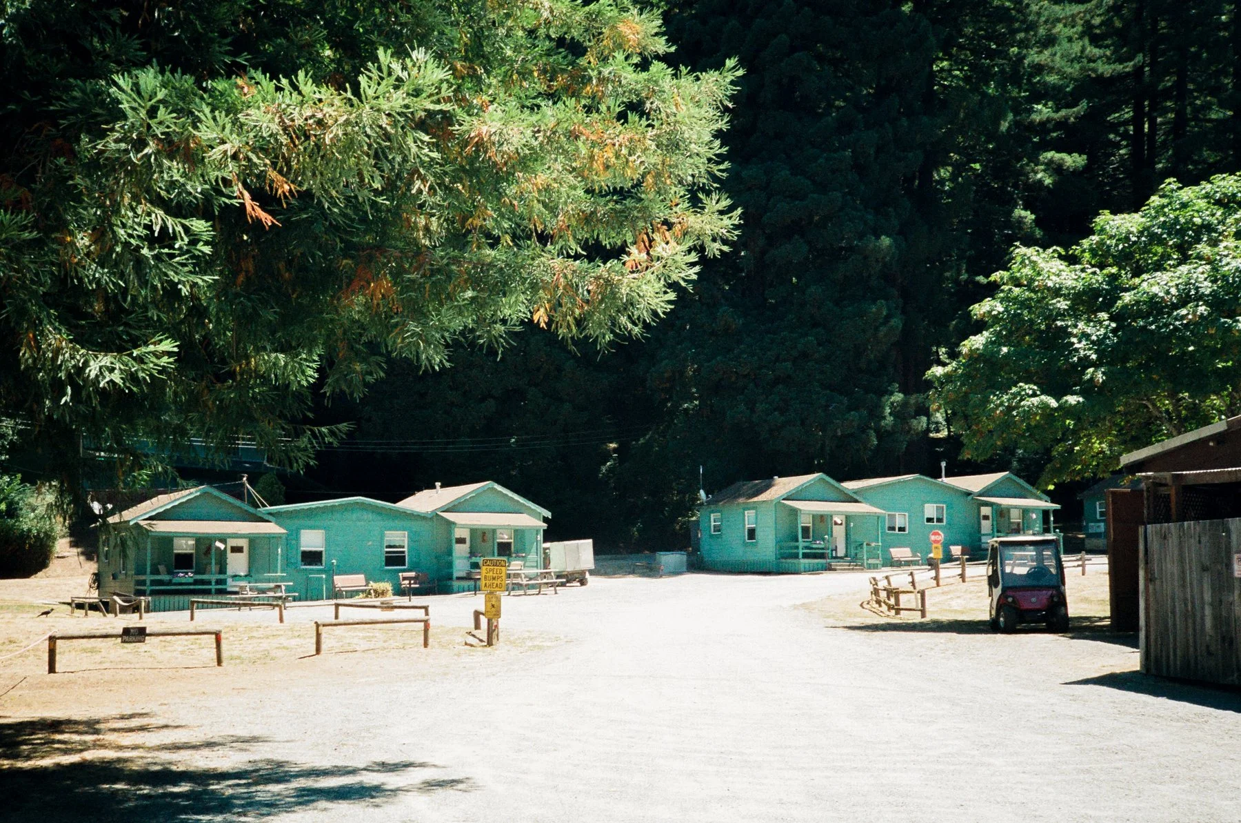 northern-ca-summer-2026-10.jpg